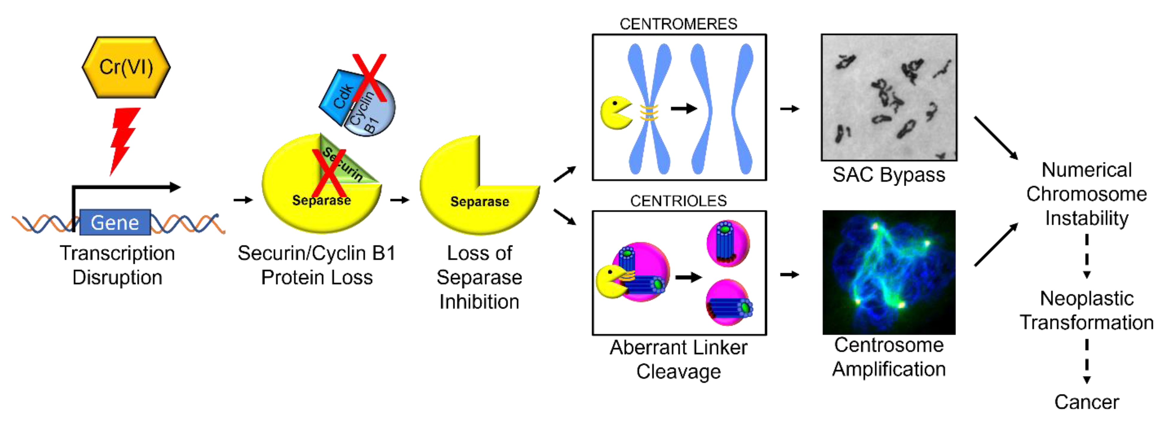 Ijms 25 00256 g009 Ijms 25 00256 g009