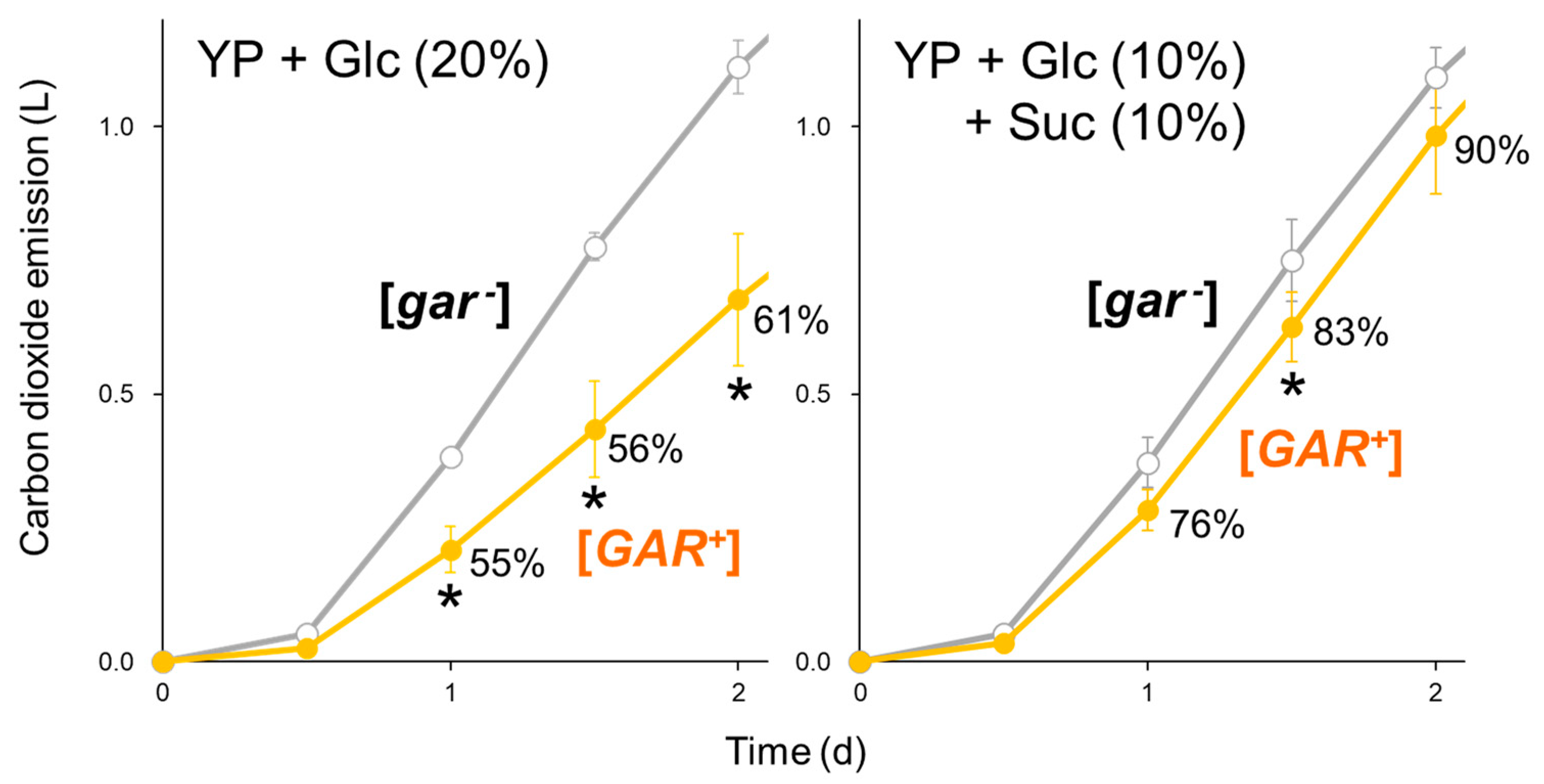 Ijms 25 00304 g001 Ijms 25 00304 g001