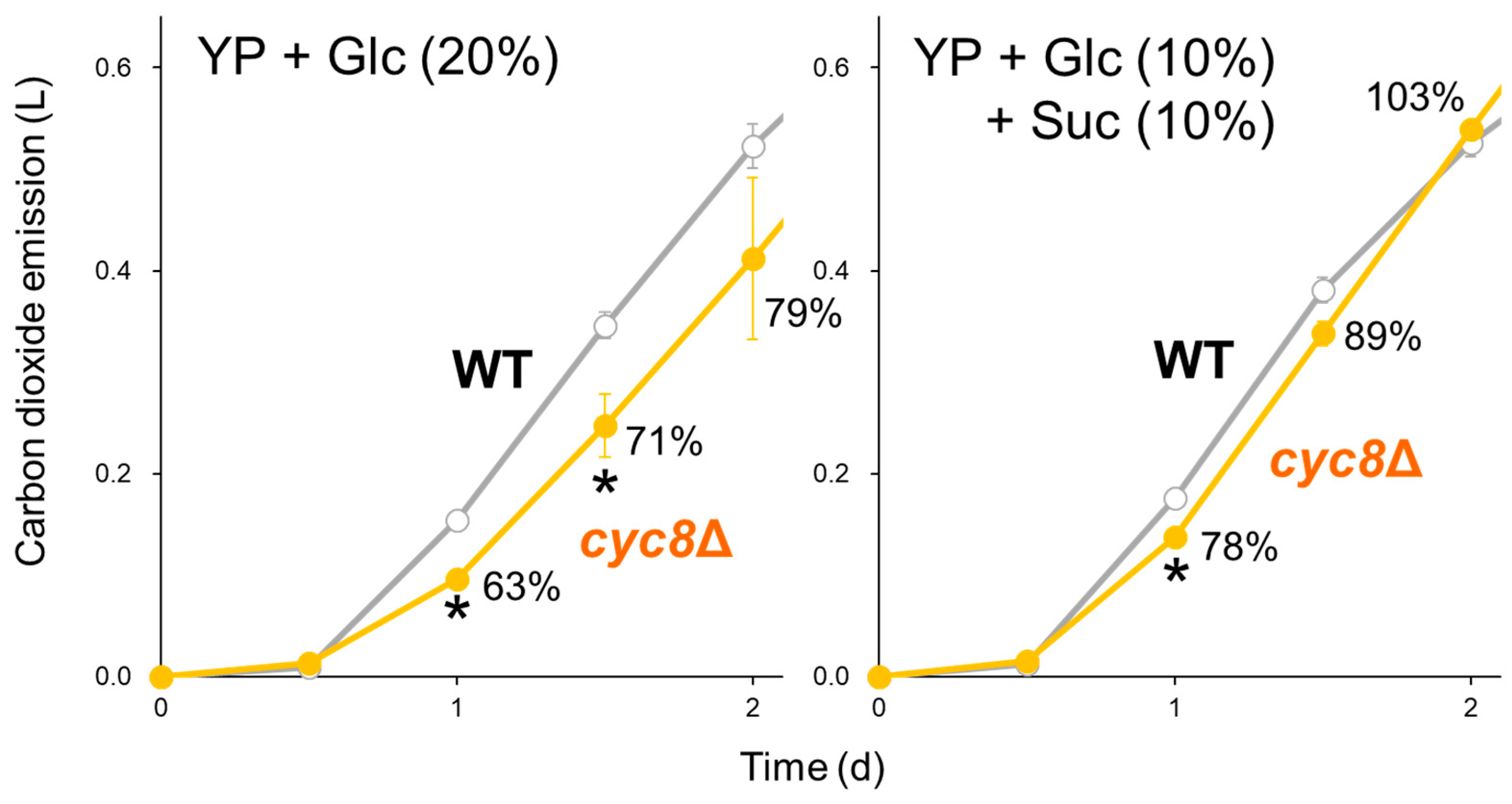 Ijms 25 00304 g003 Ijms 25 00304 g003