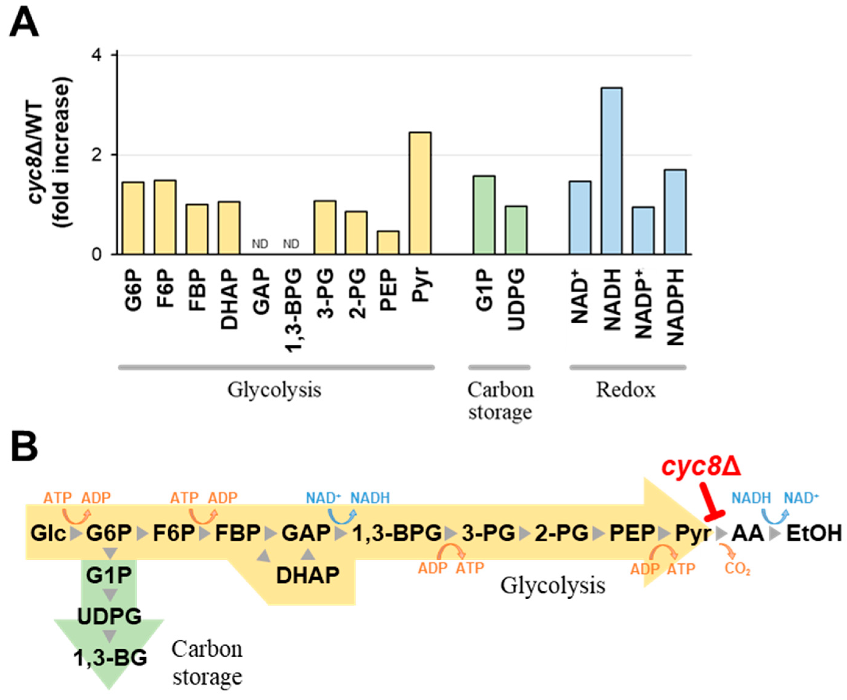 Ijms 25 00304 g004 Ijms 25 00304 g004