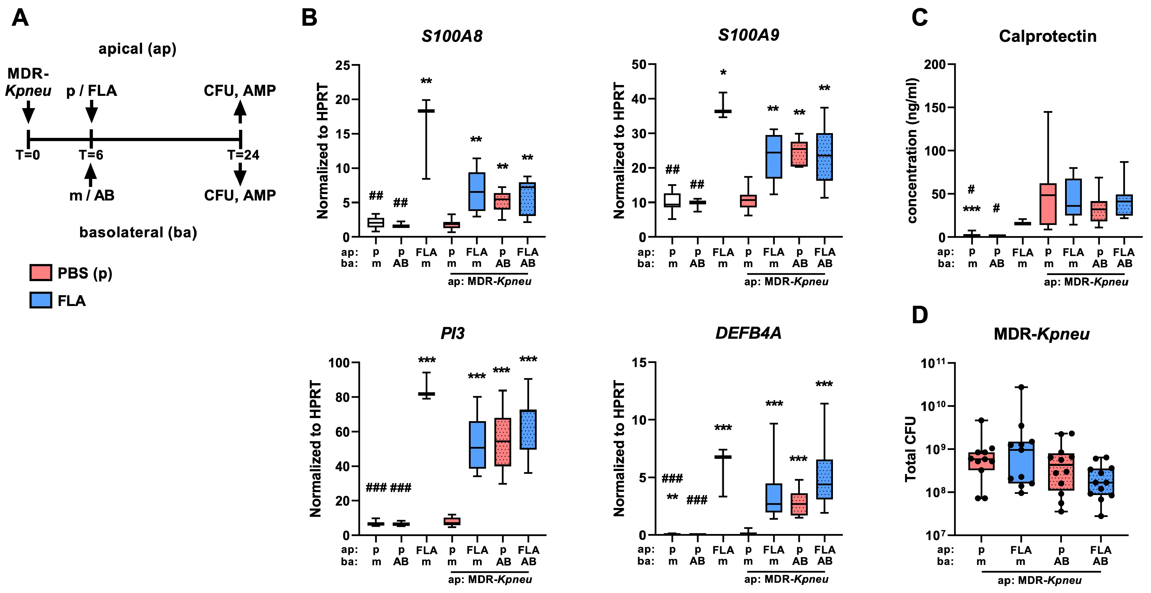 Ijms 25 00309 g001 Ijms 25 00309 g001