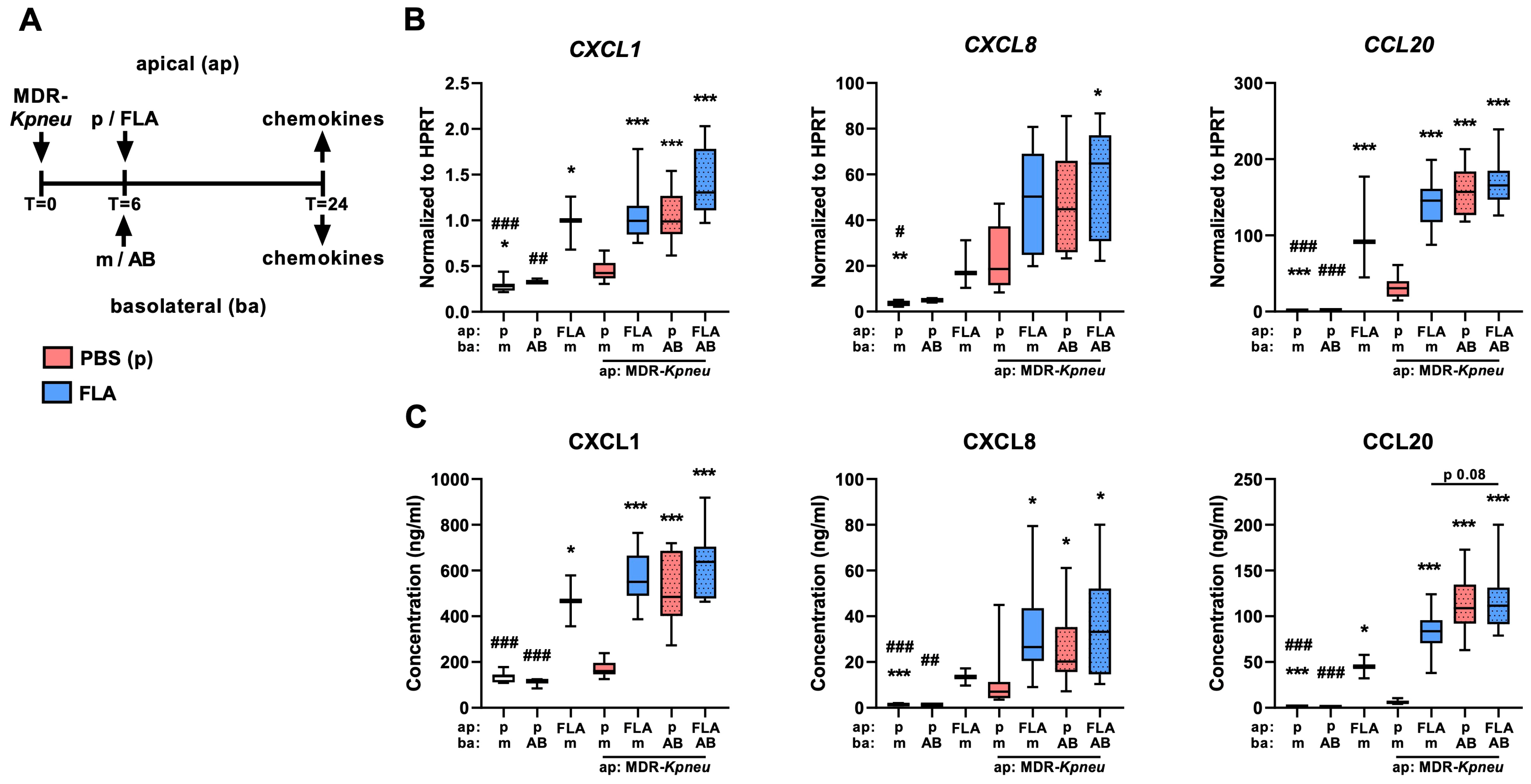 Ijms 25 00309 g002 Ijms 25 00309 g002