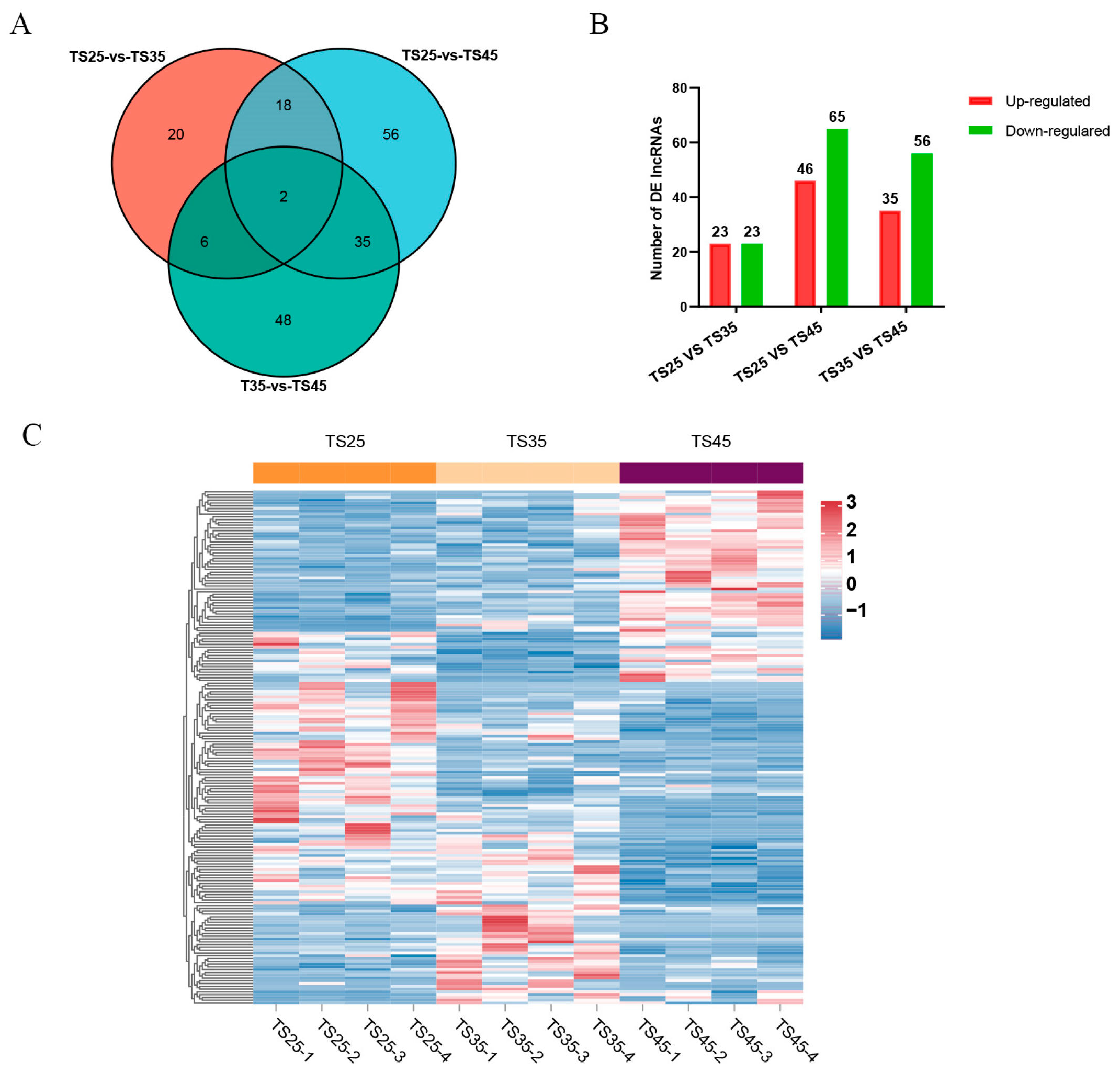 IJMS | Free Full-Text | LncRNA and Protein Expression Profiles 