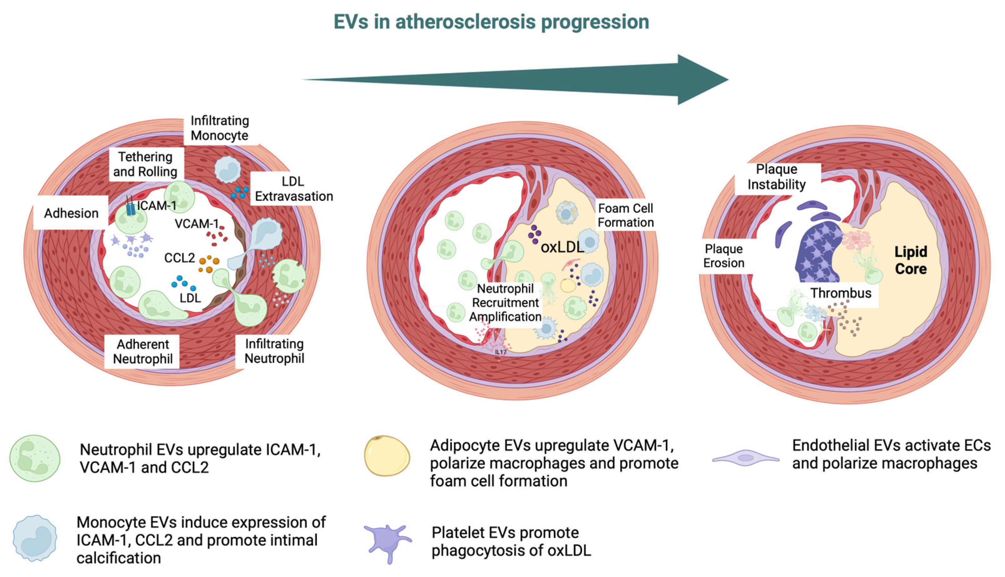 Ijms 25 00388 g002 Ijms 25 00388 g002