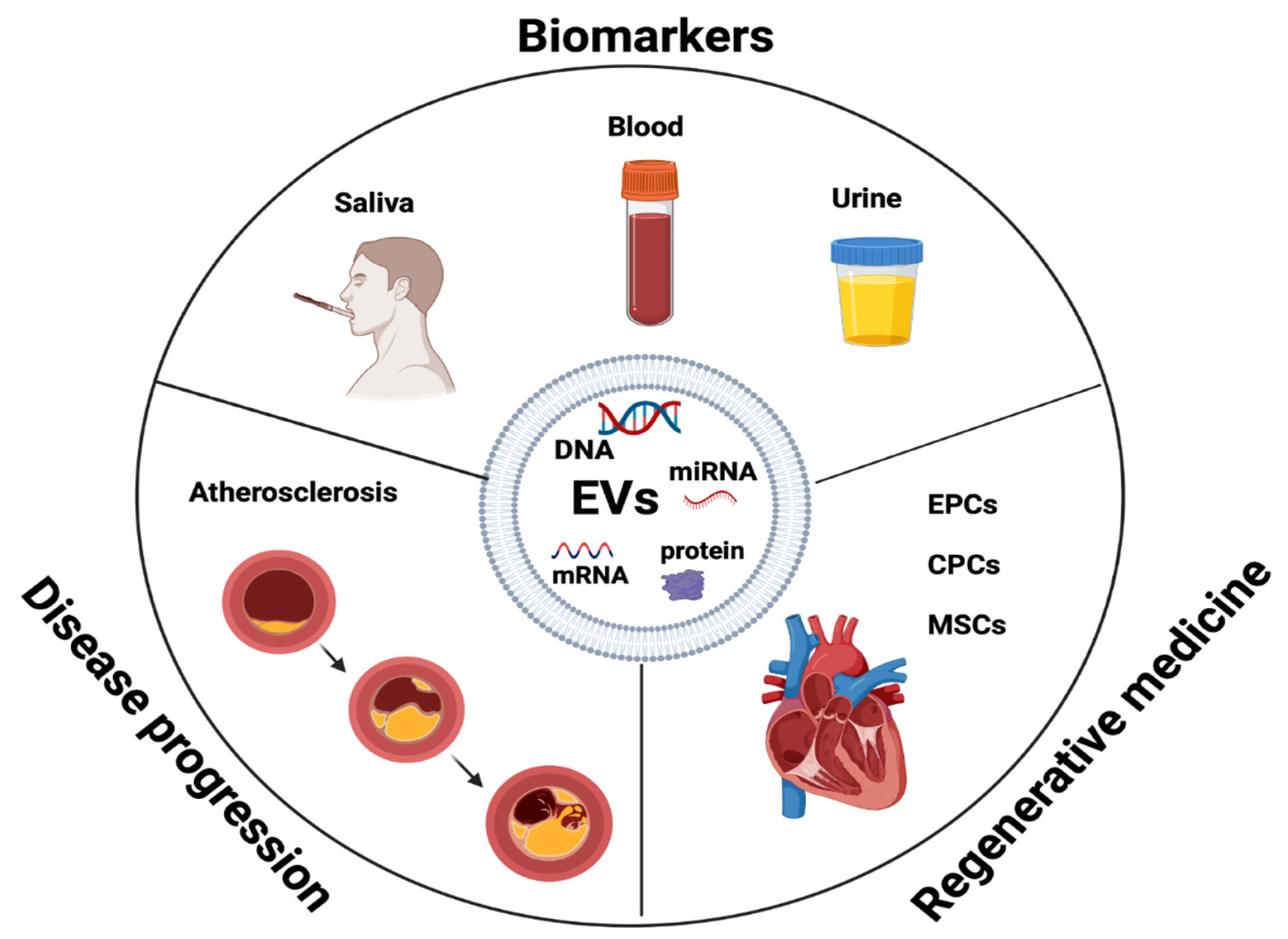 Ijms 25 00388 g003 Ijms 25 00388 g003