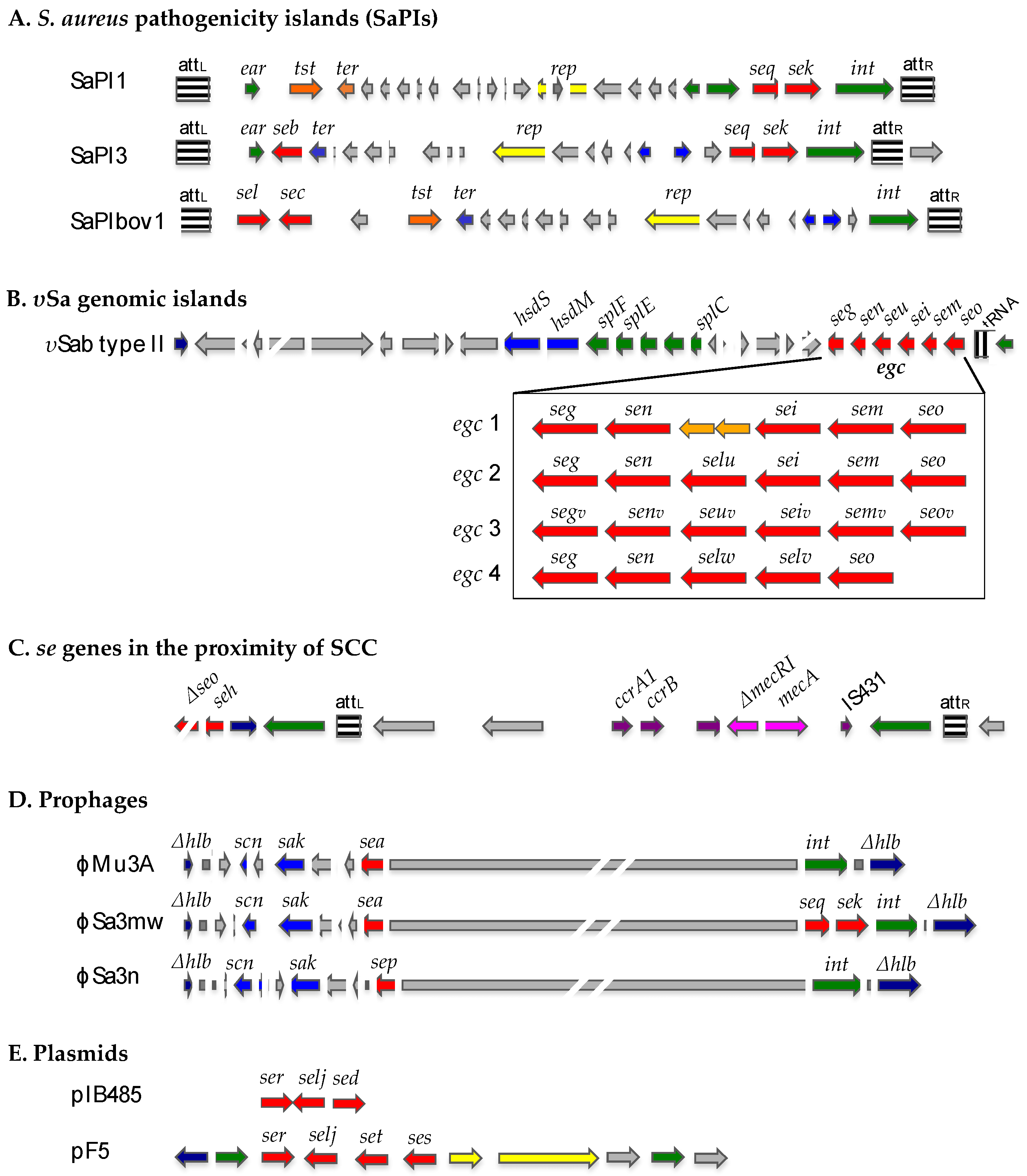 Ijms 25 00395 g001 Ijms 25 00395 g001