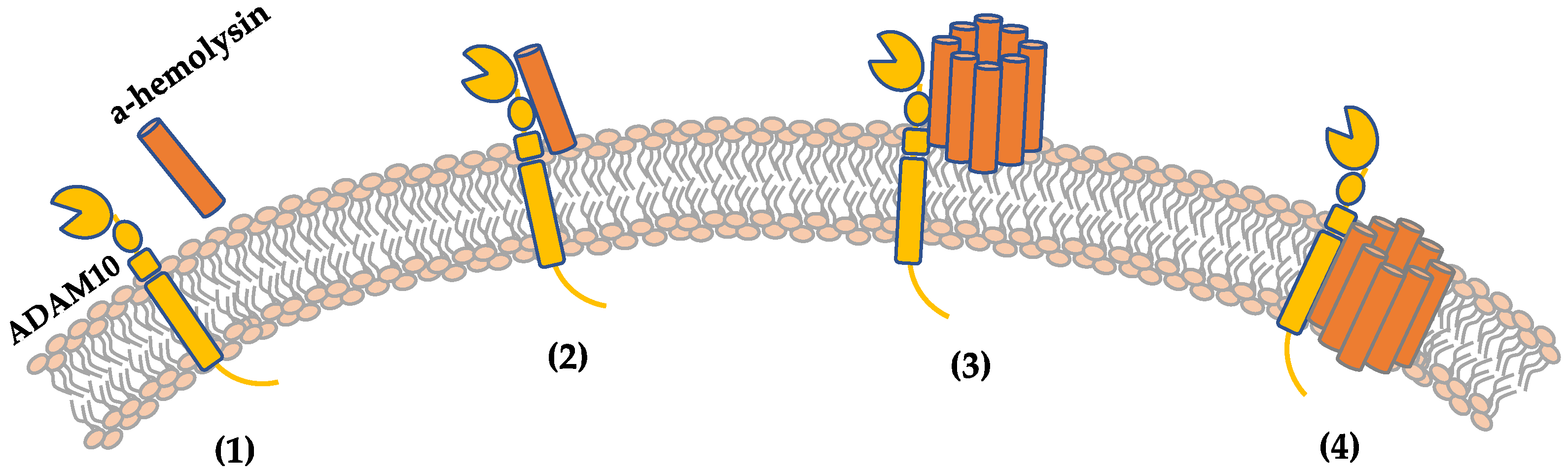 Ijms 25 00395 g004 Ijms 25 00395 g004