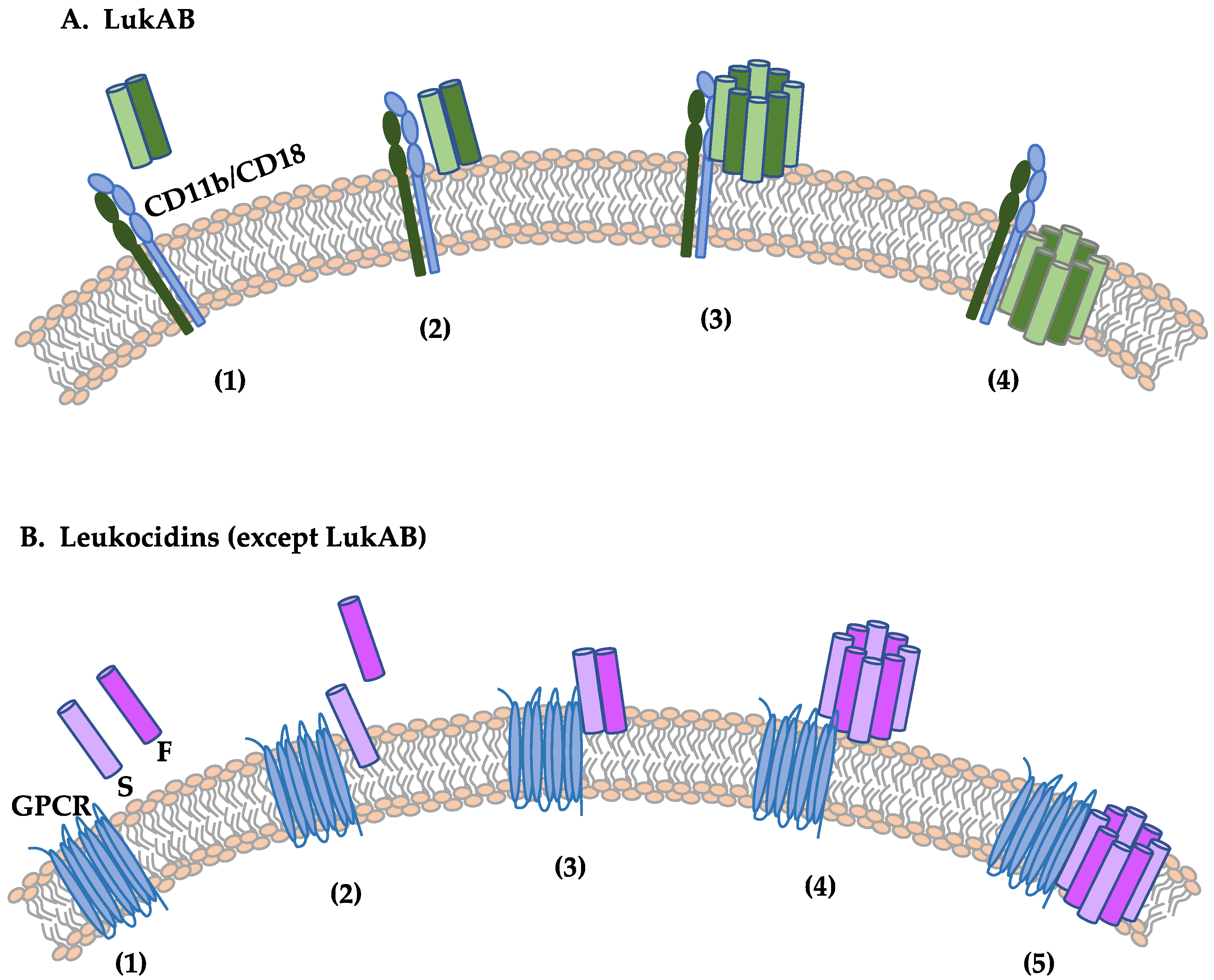 Ijms 25 00395 g005 Ijms 25 00395 g005