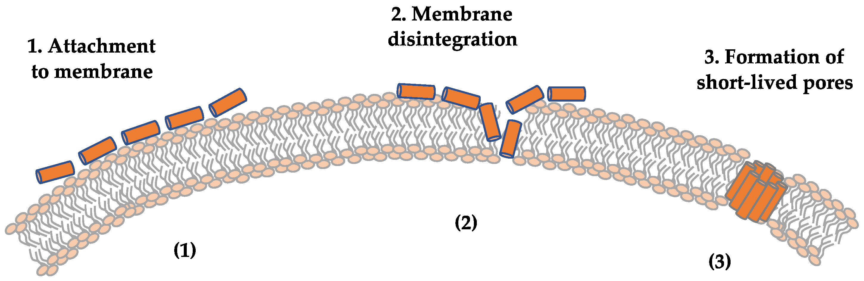 Ijms 25 00395 g006 Ijms 25 00395 g006