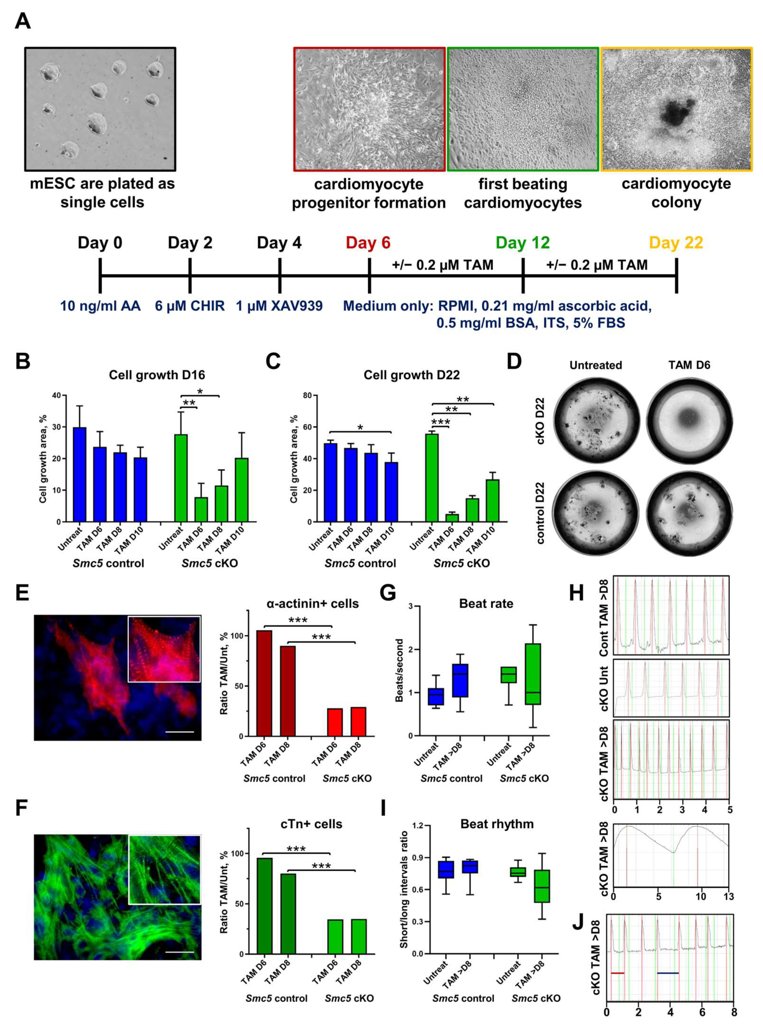 Ijms 25 00430 g002 Ijms 25 00430 g002