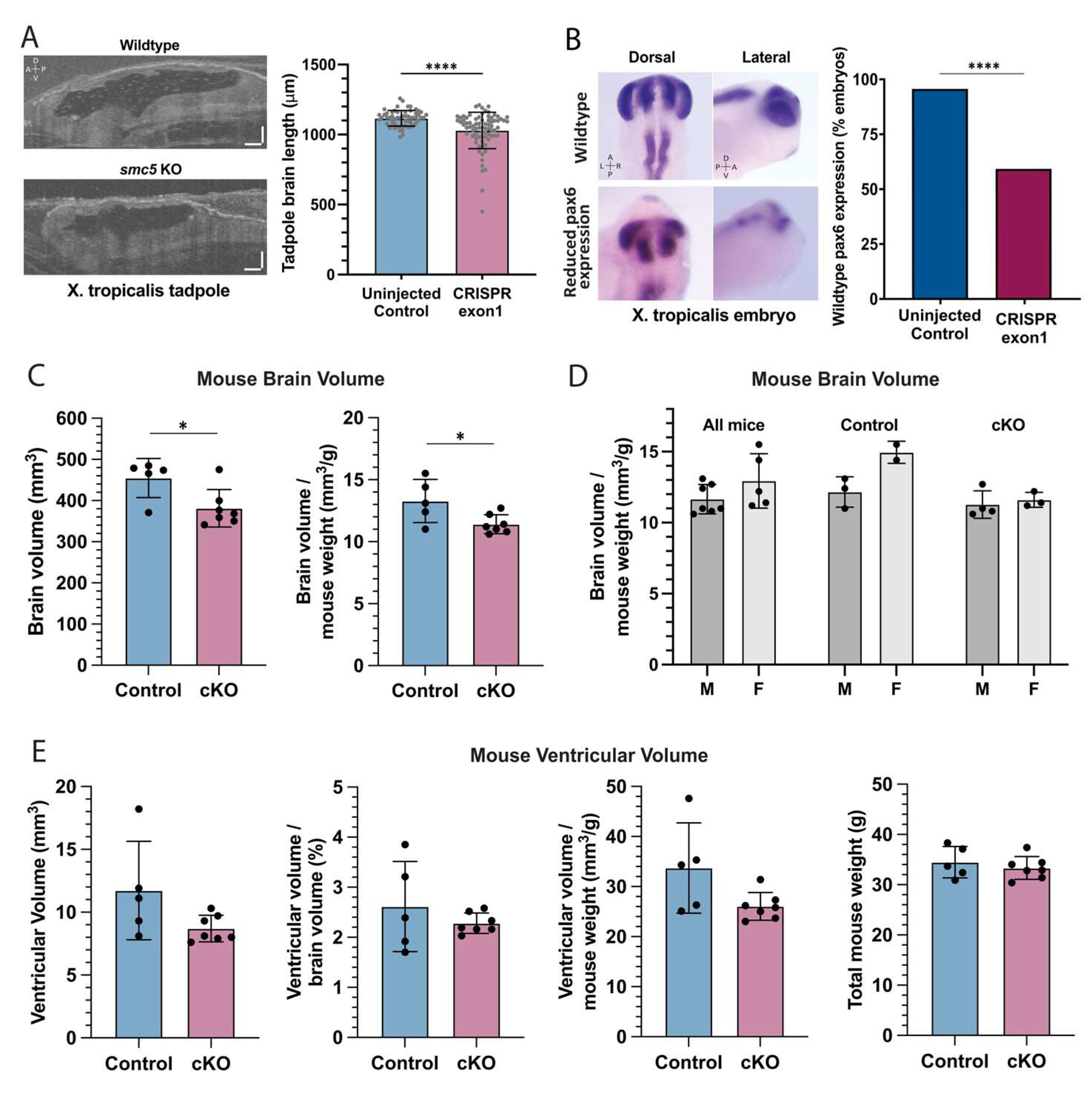 Ijms 25 00430 g003 Ijms 25 00430 g003