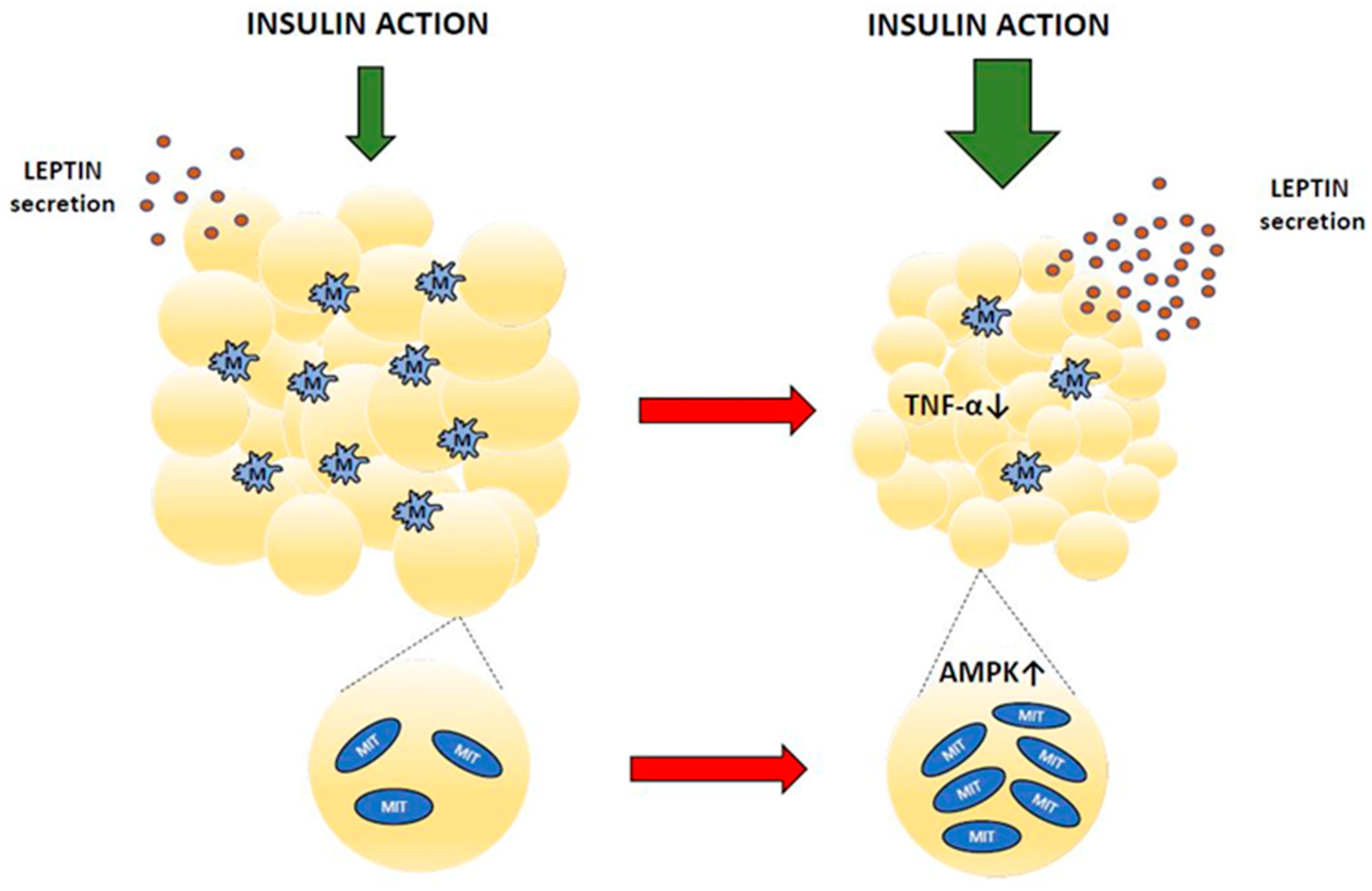 Ijms 25 00431 g003 Ijms 25 00431 g003