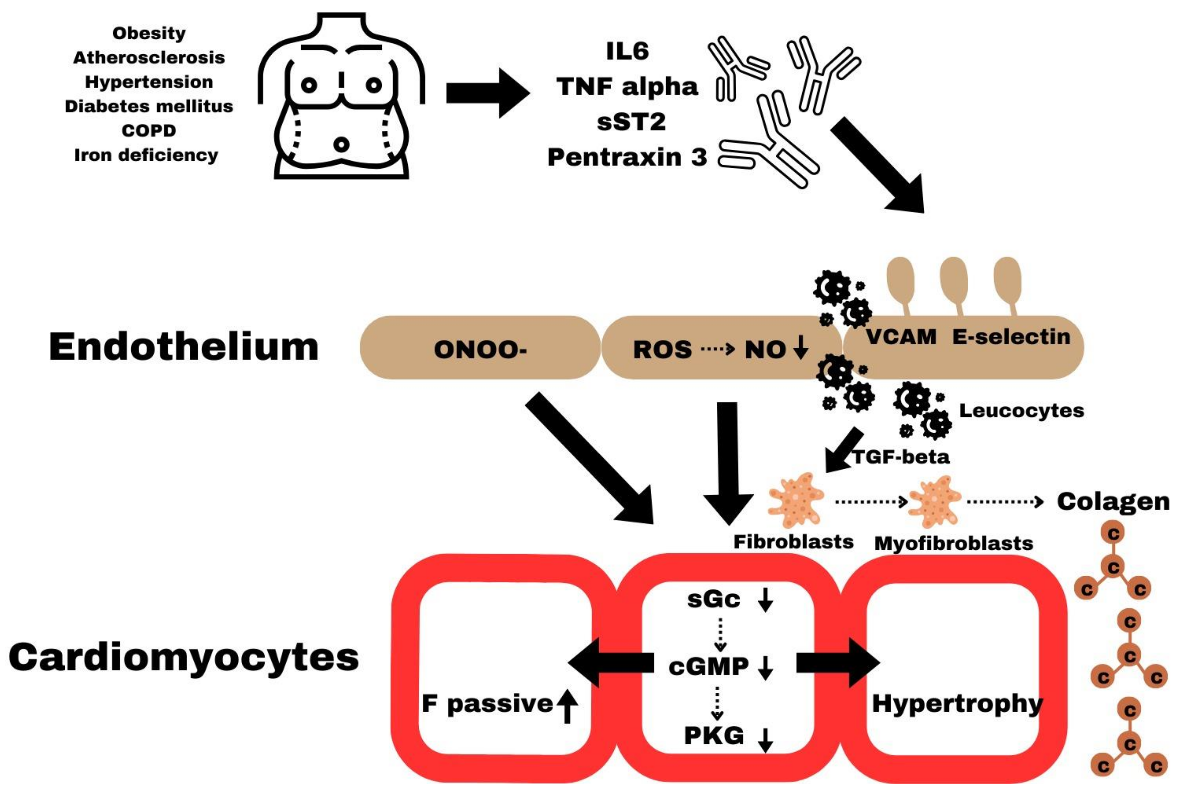 Ijms 25 00440 g001 Ijms 25 00440 g001