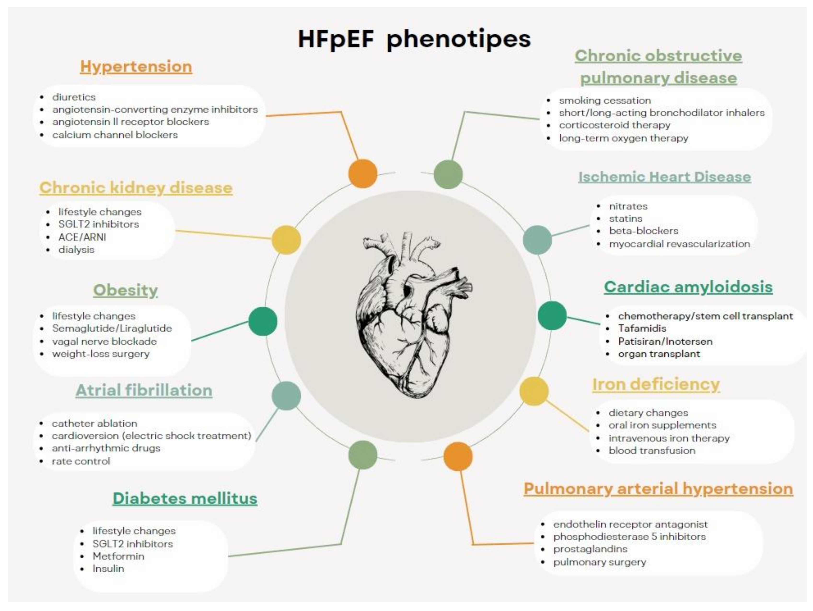 Ijms 25 00440 g002 Ijms 25 00440 g002