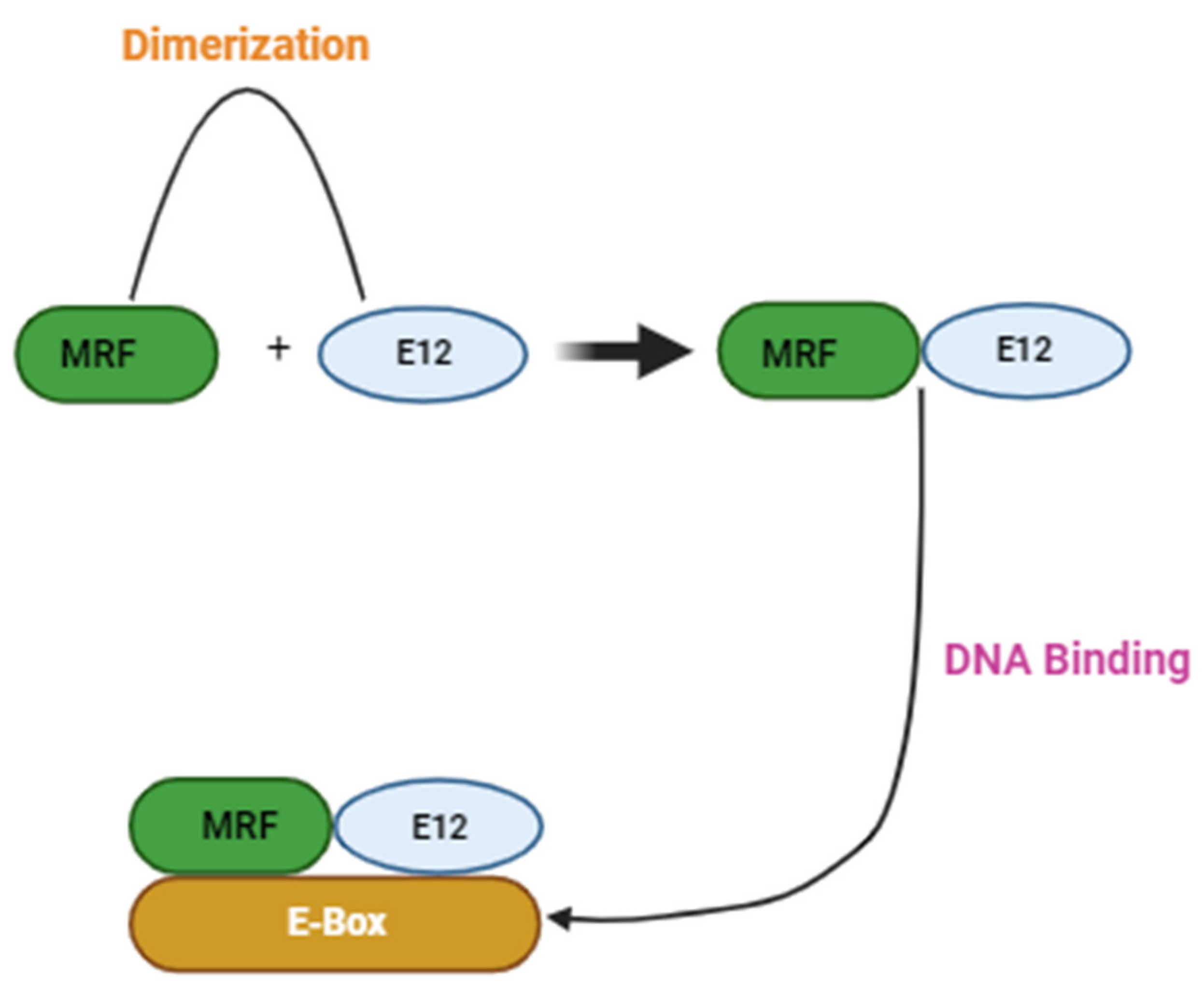 Ijms 25 00469 g001 Ijms 25 00469 g001