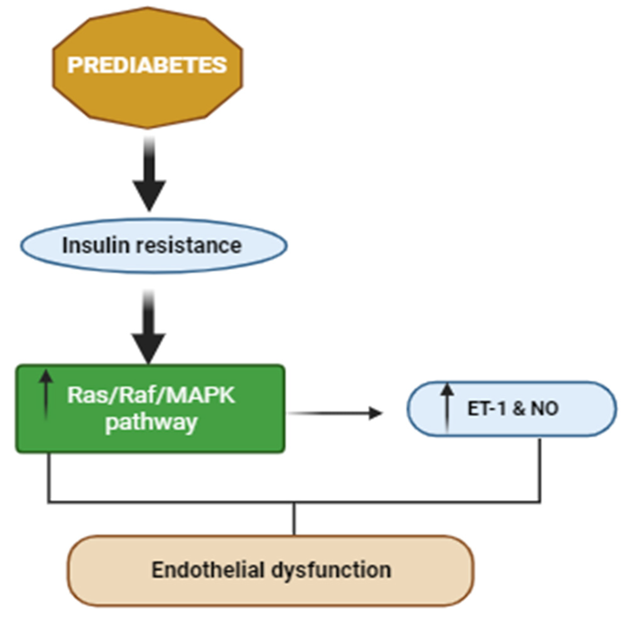 Ijms 25 00469 g003 Ijms 25 00469 g003