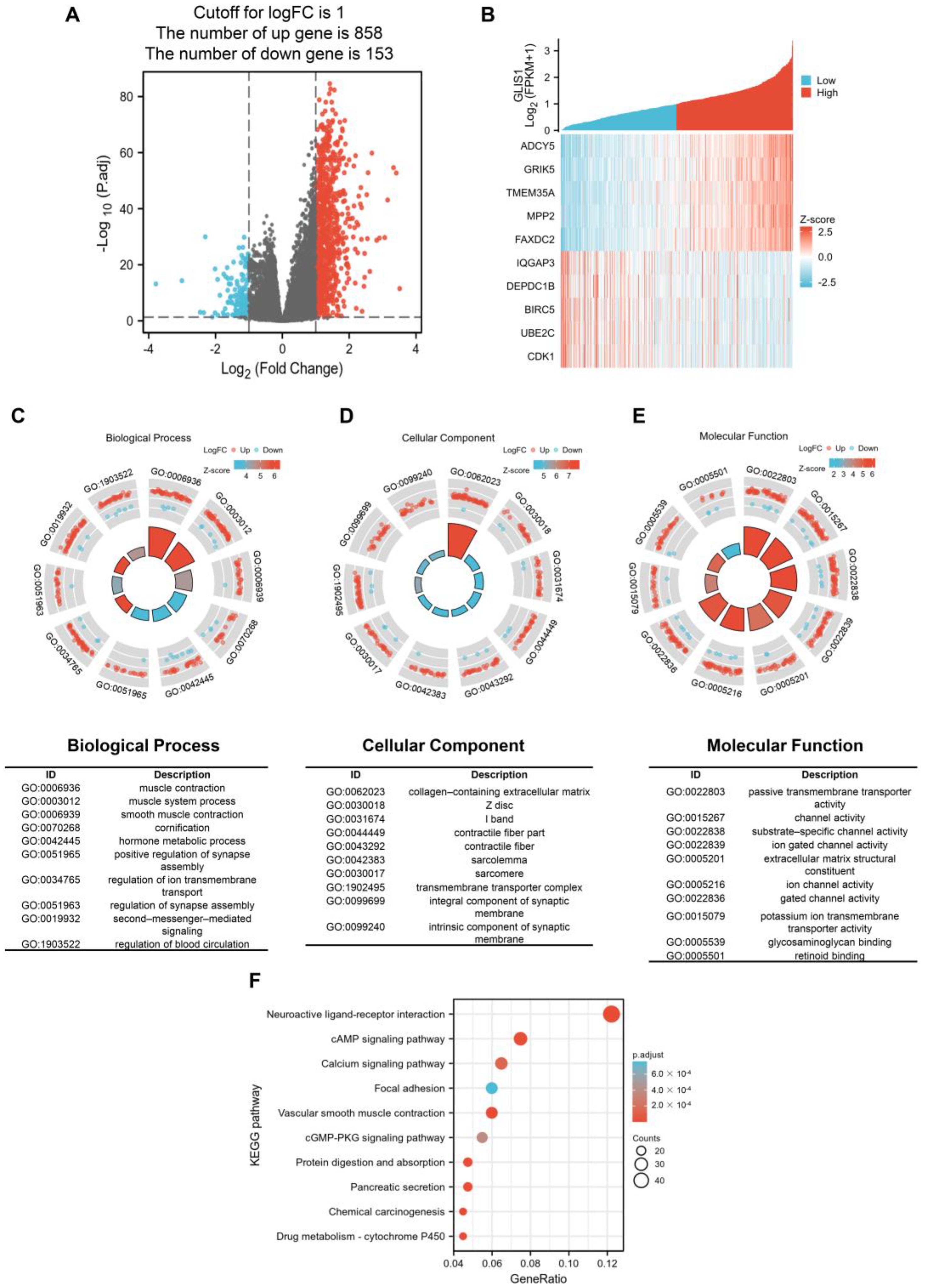 Ijms 25 00489 g004 Ijms 25 00489 g004