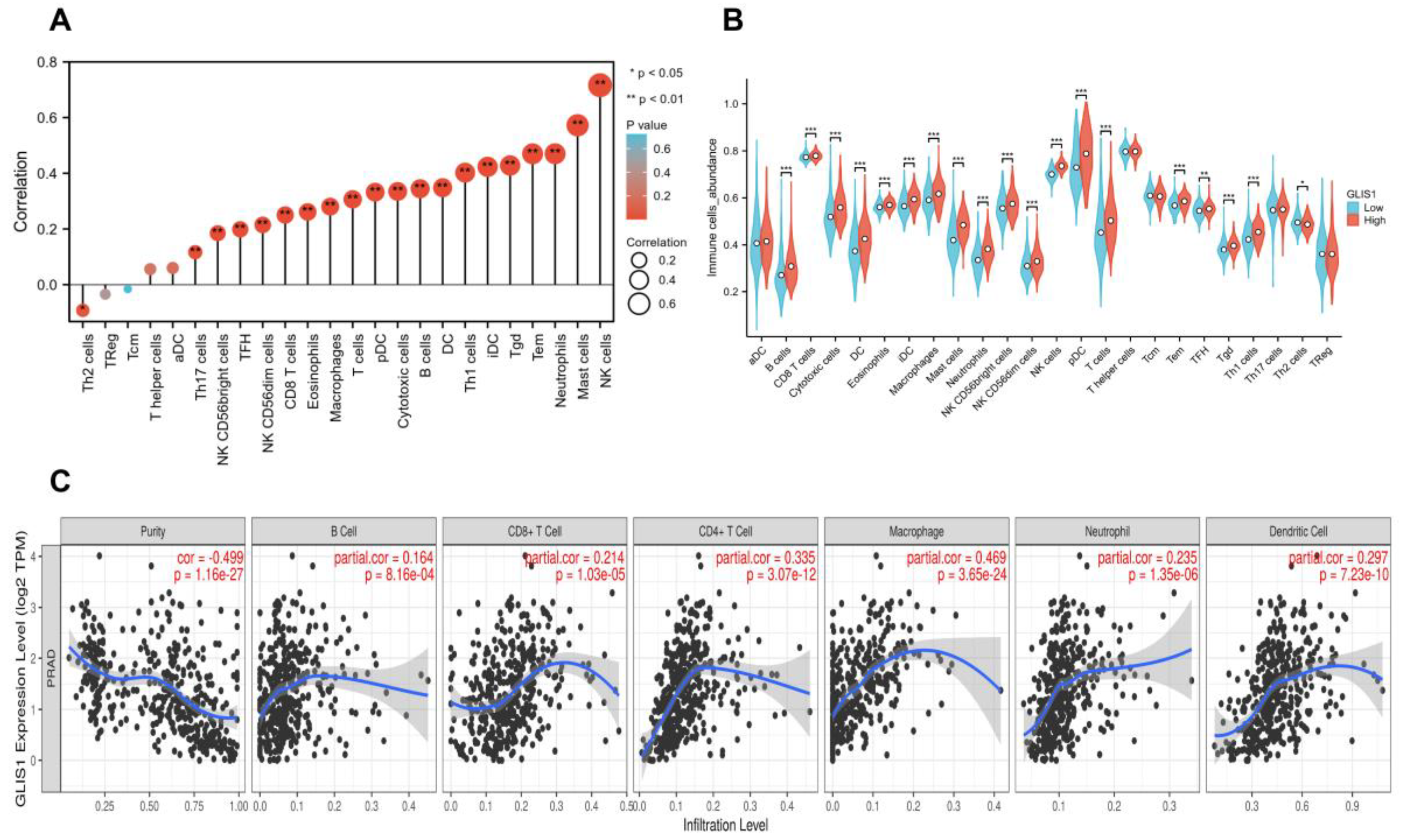 Ijms 25 00489 g006 Ijms 25 00489 g006