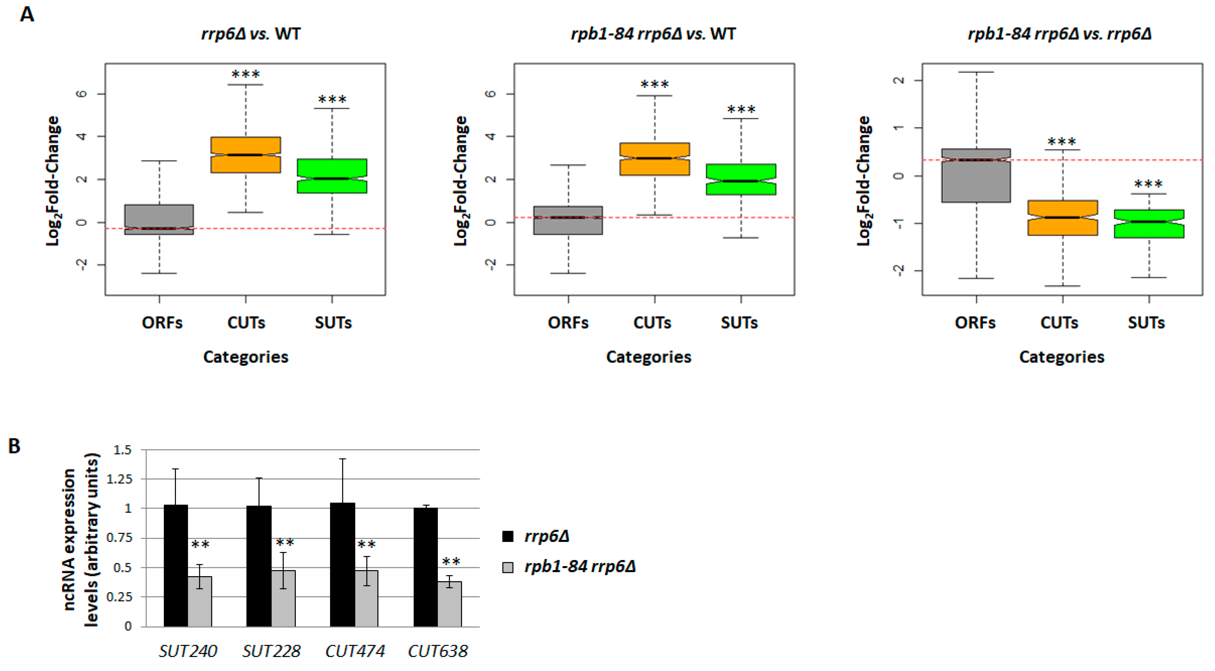 Ijms 25 00507 g003 Ijms 25 00507 g003