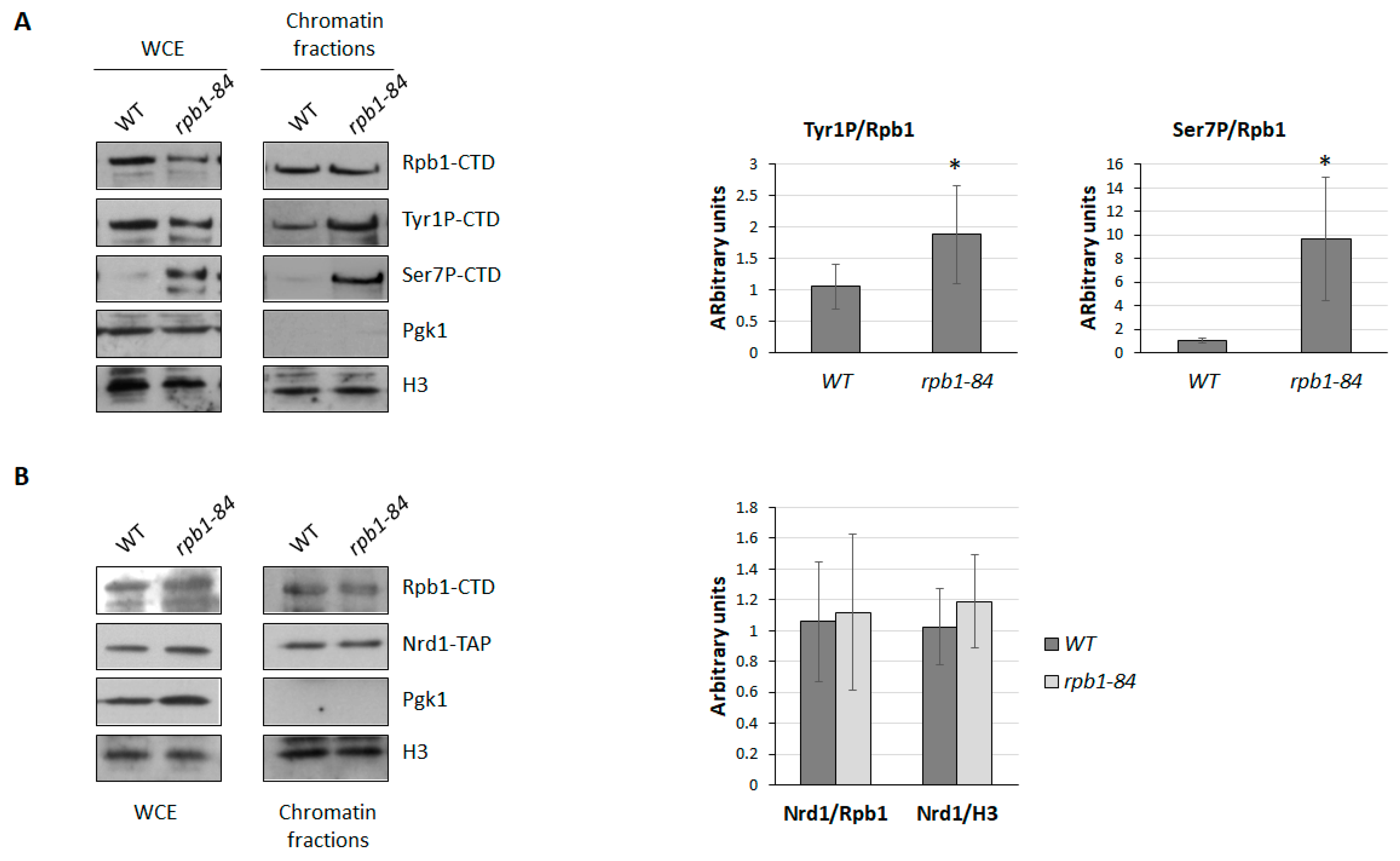 Ijms 25 00507 g005 Ijms 25 00507 g005