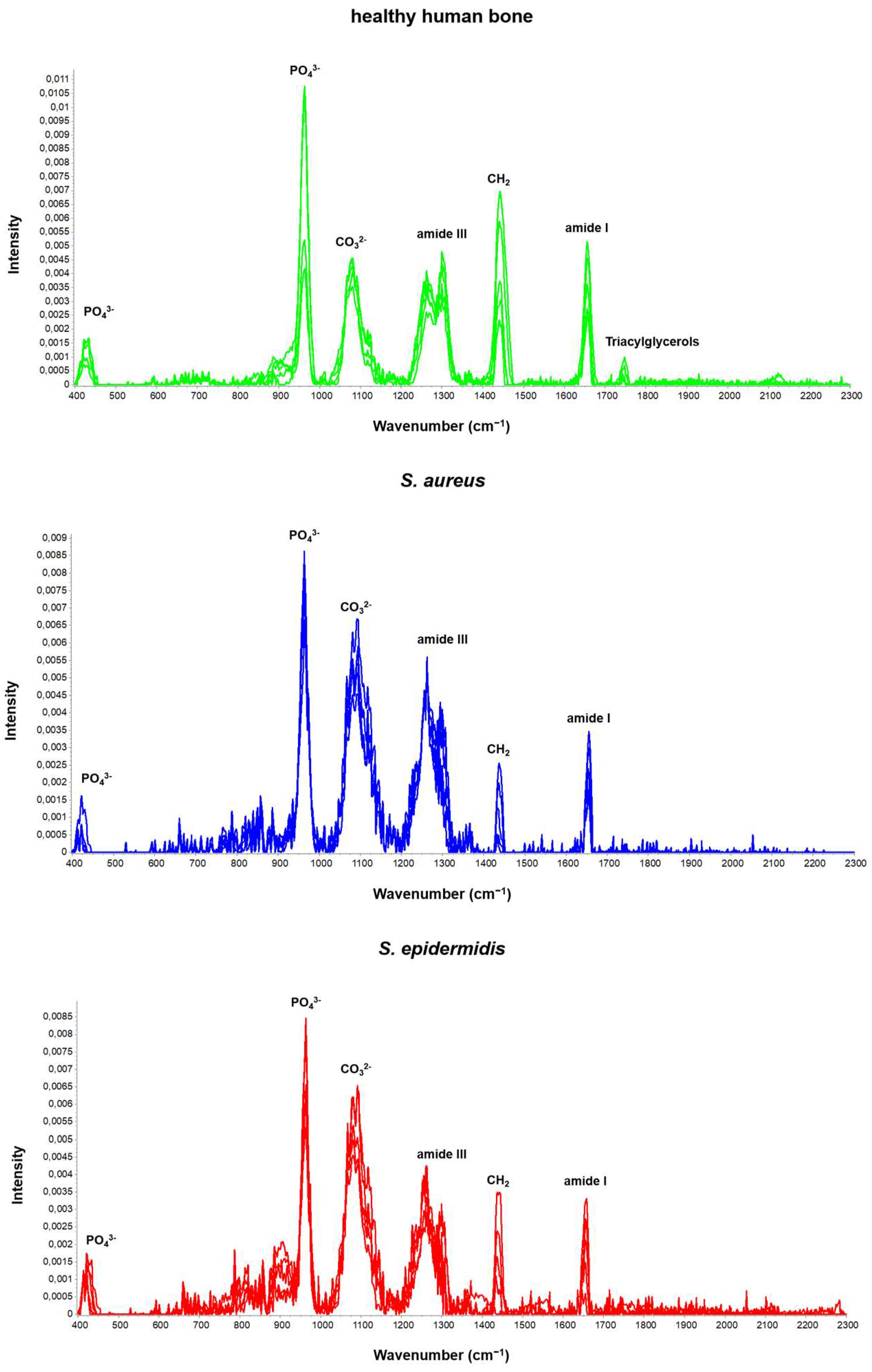 Ijms 25 00541 g001 Ijms 25 00541 g001