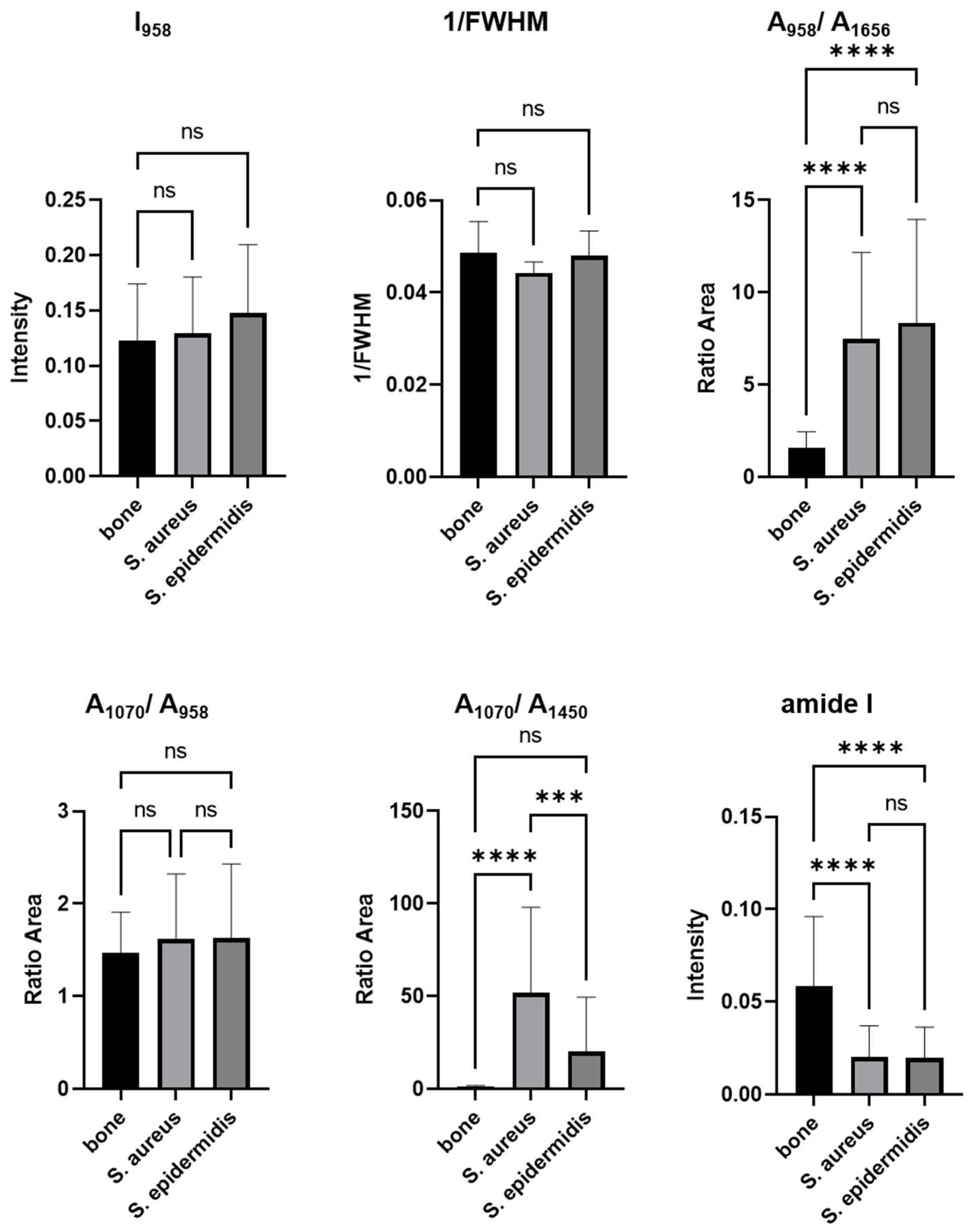 Ijms 25 00541 g002 Ijms 25 00541 g002