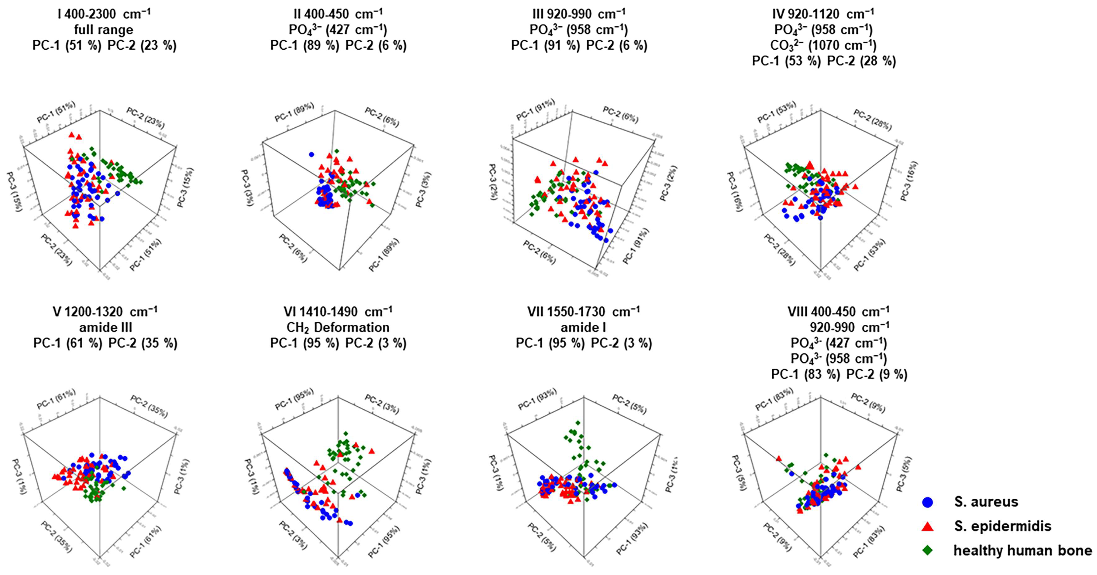 Ijms 25 00541 g004 Ijms 25 00541 g004