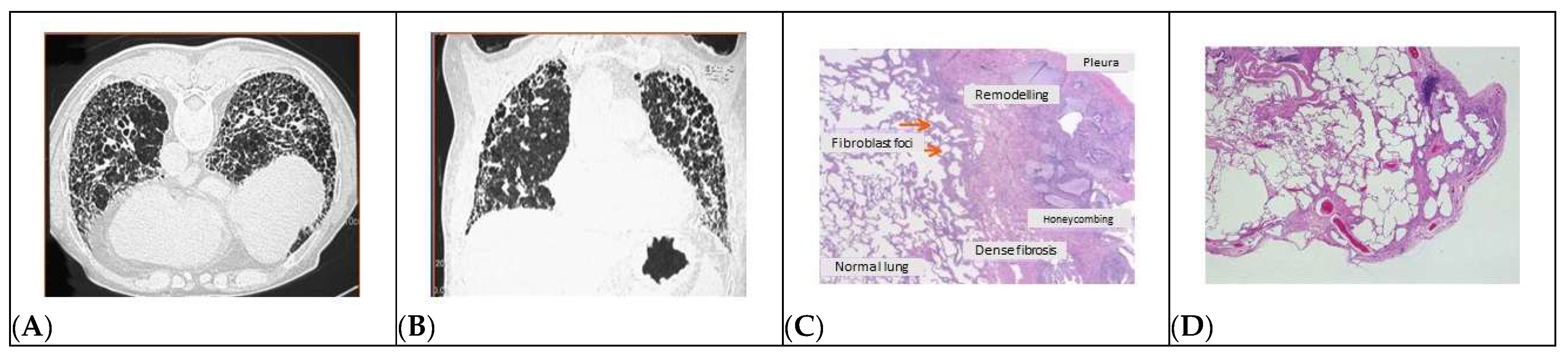 Ijms 25 00547 g001 Ijms 25 00547 g001