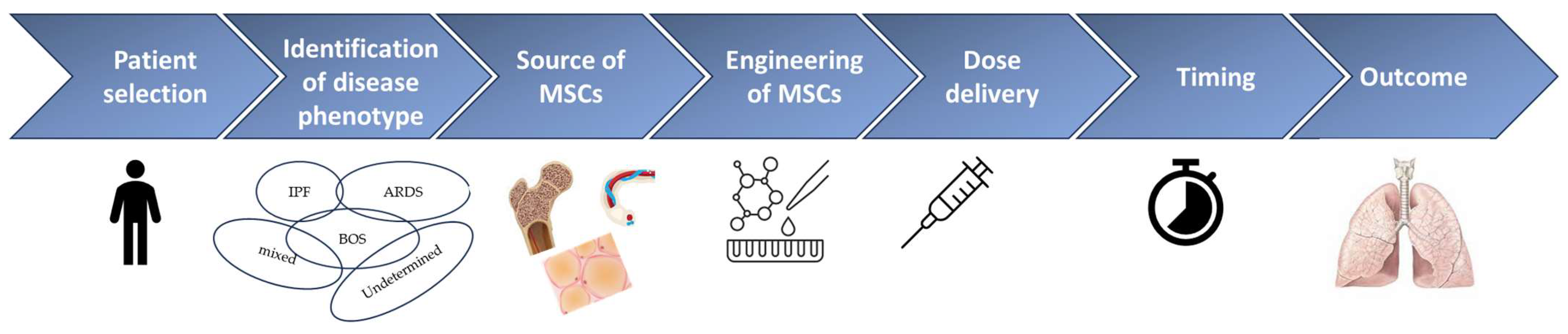 Ijms 25 00547 g003 Ijms 25 00547 g003