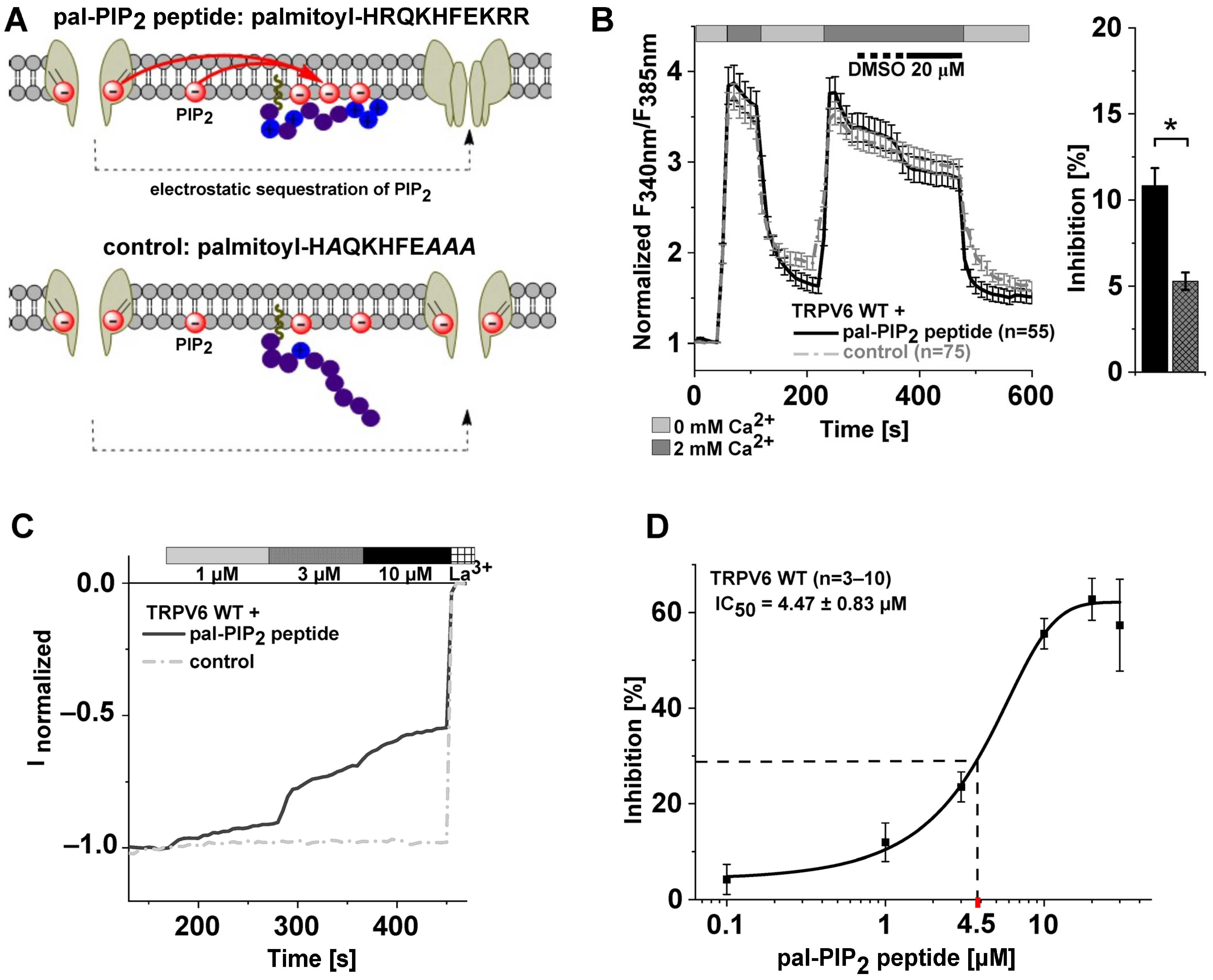 Ijms 25 00618 g001 Ijms 25 00618 g001