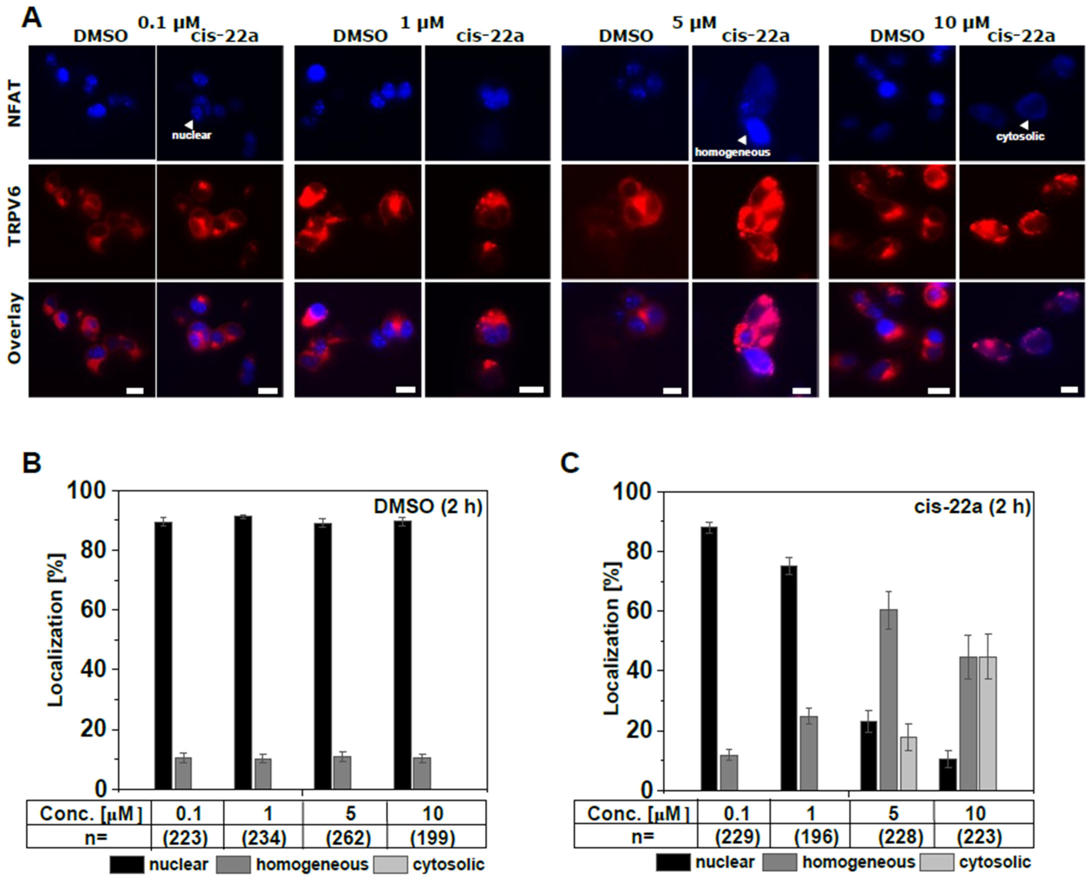 Ijms 25 00618 g003 Ijms 25 00618 g003