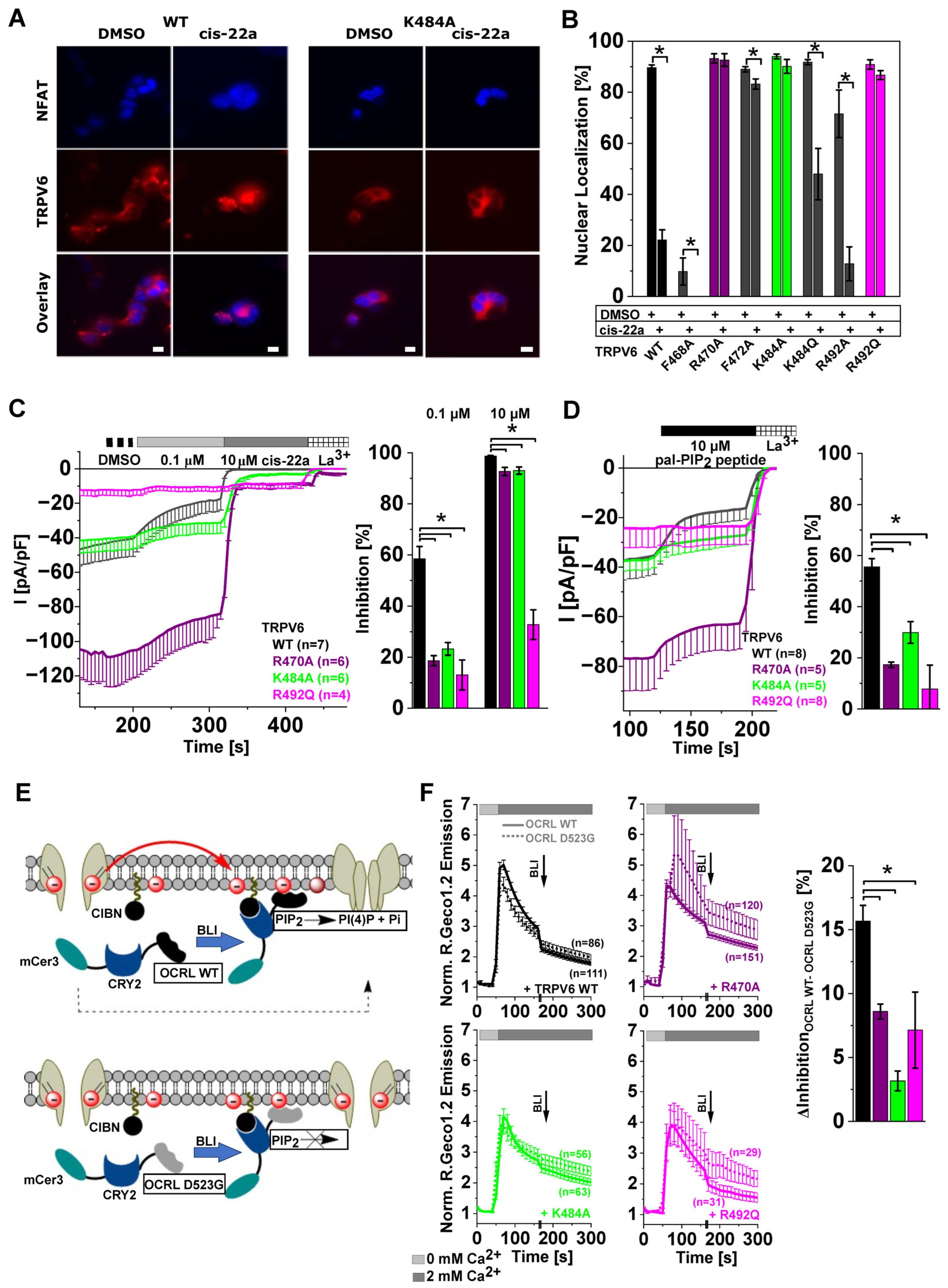 Ijms 25 00618 g004 Ijms 25 00618 g004