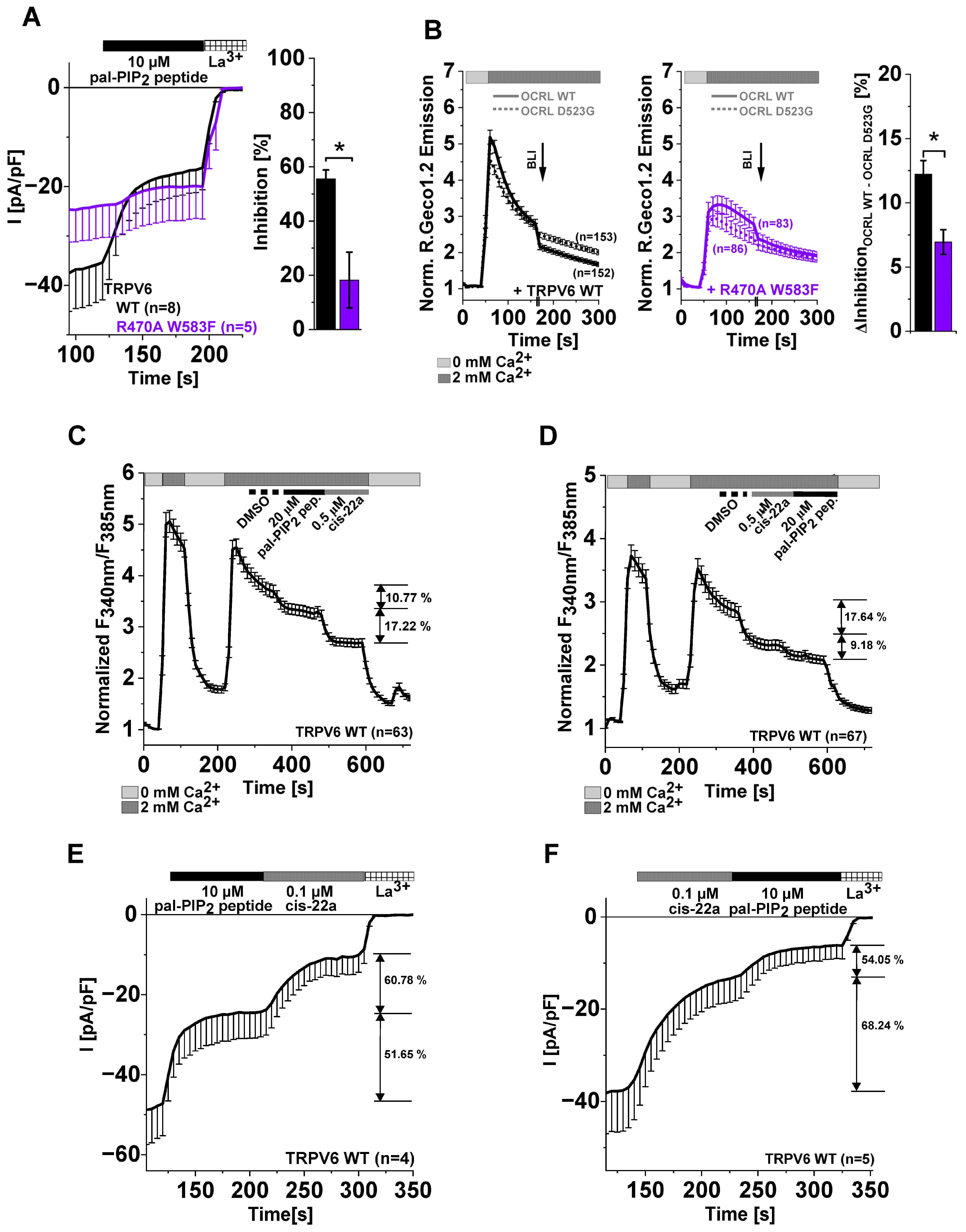 Ijms 25 00618 g006 Ijms 25 00618 g006