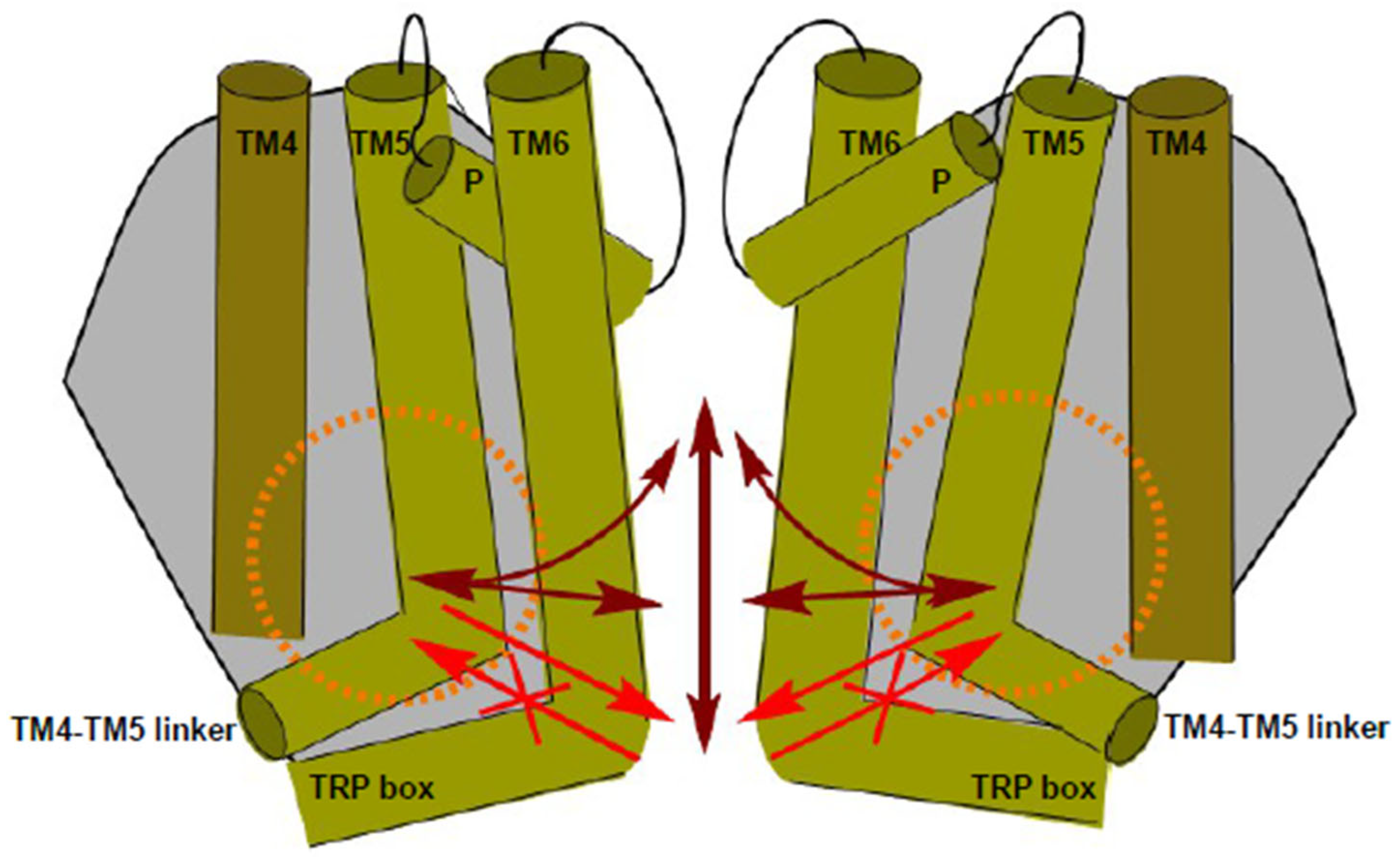Ijms 25 00618 g007 Ijms 25 00618 g007