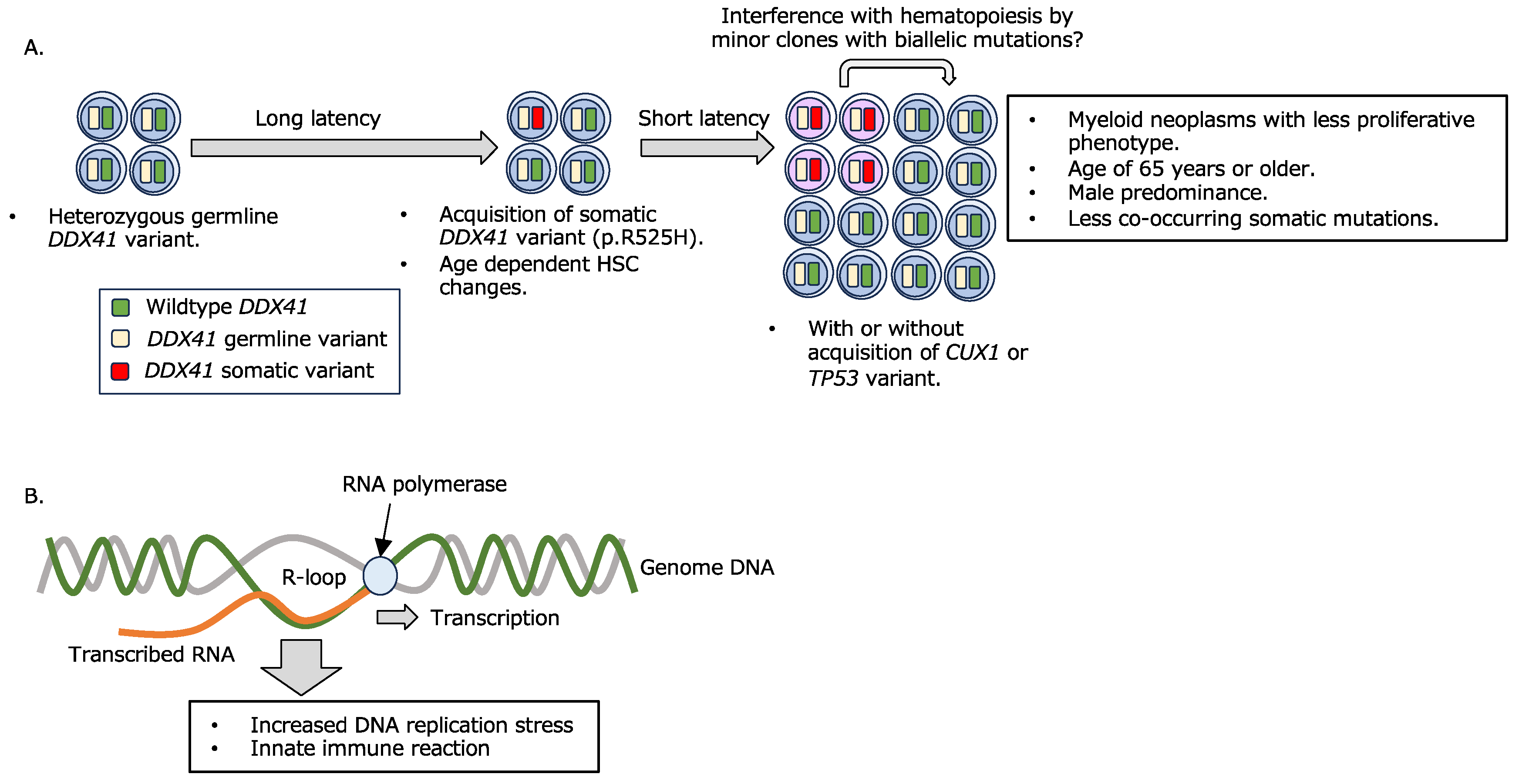 Ijms 25 00652 g001 Ijms 25 00652 g001