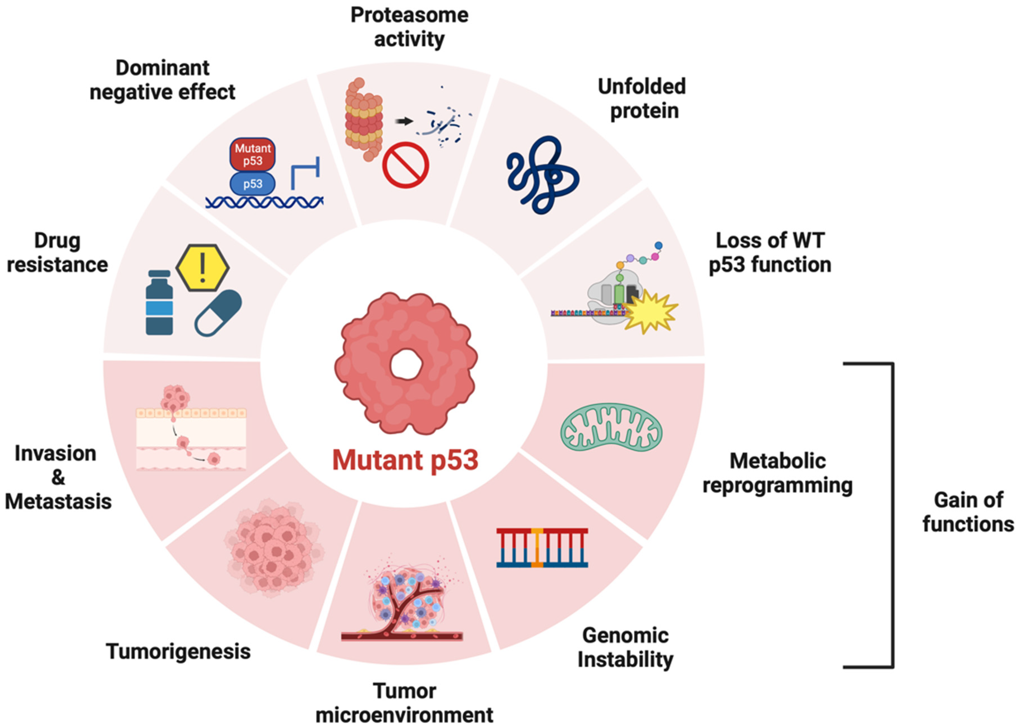 Ijms 25 00652 g002 Ijms 25 00652 g002