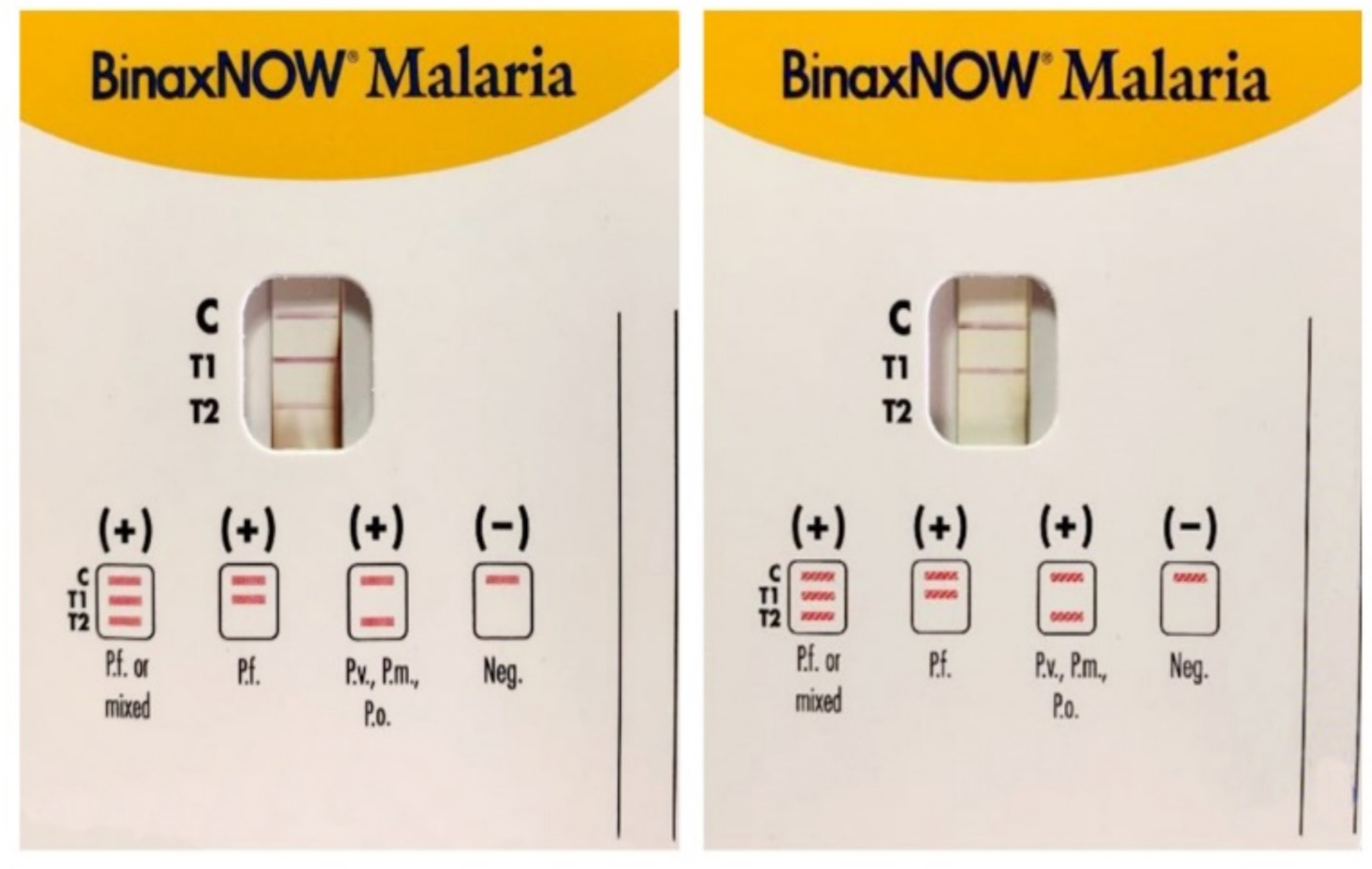 Ijms 25 00695 g003 Ijms 25 00695 g003