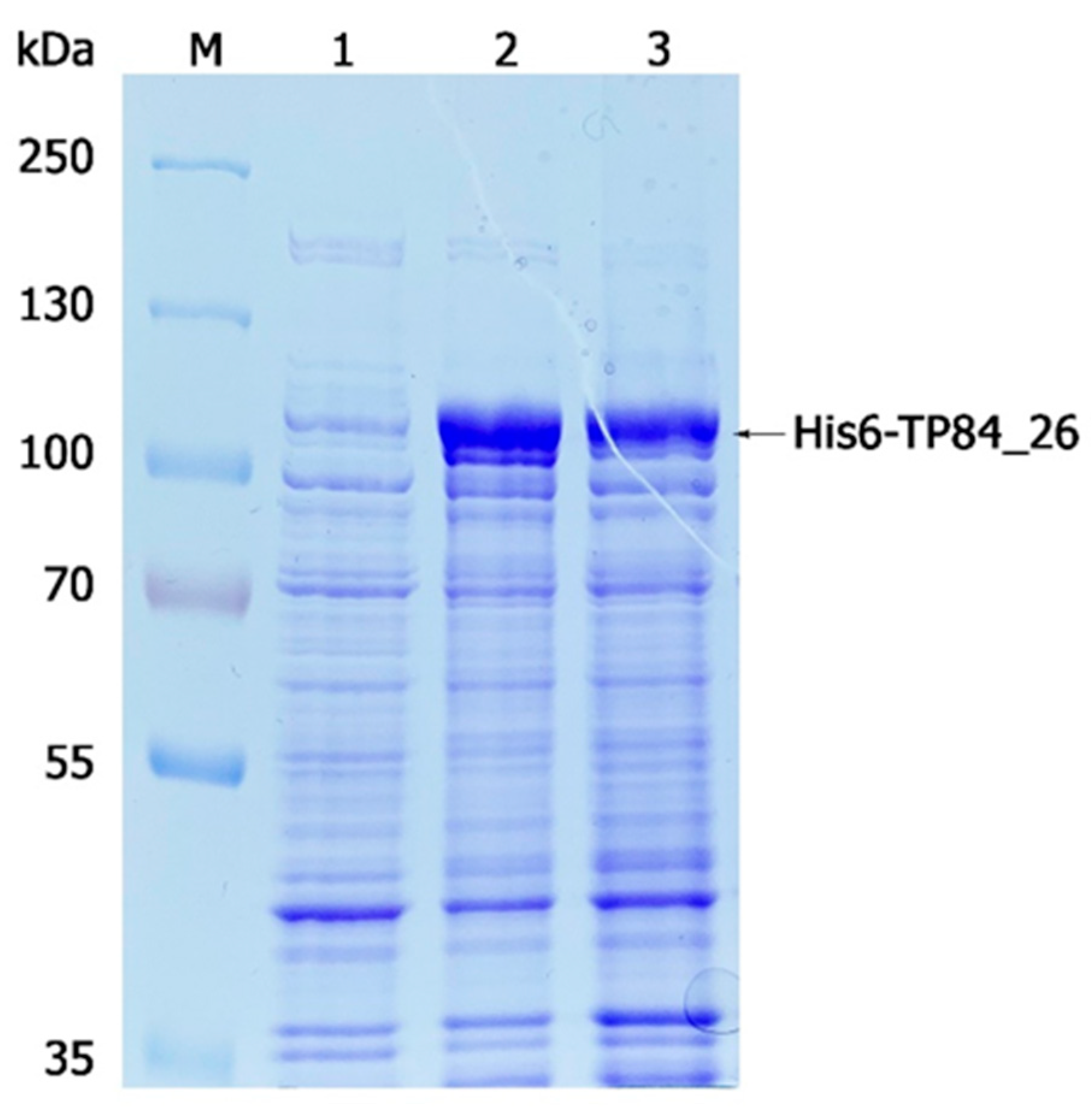 Ijms 25 00722 g001