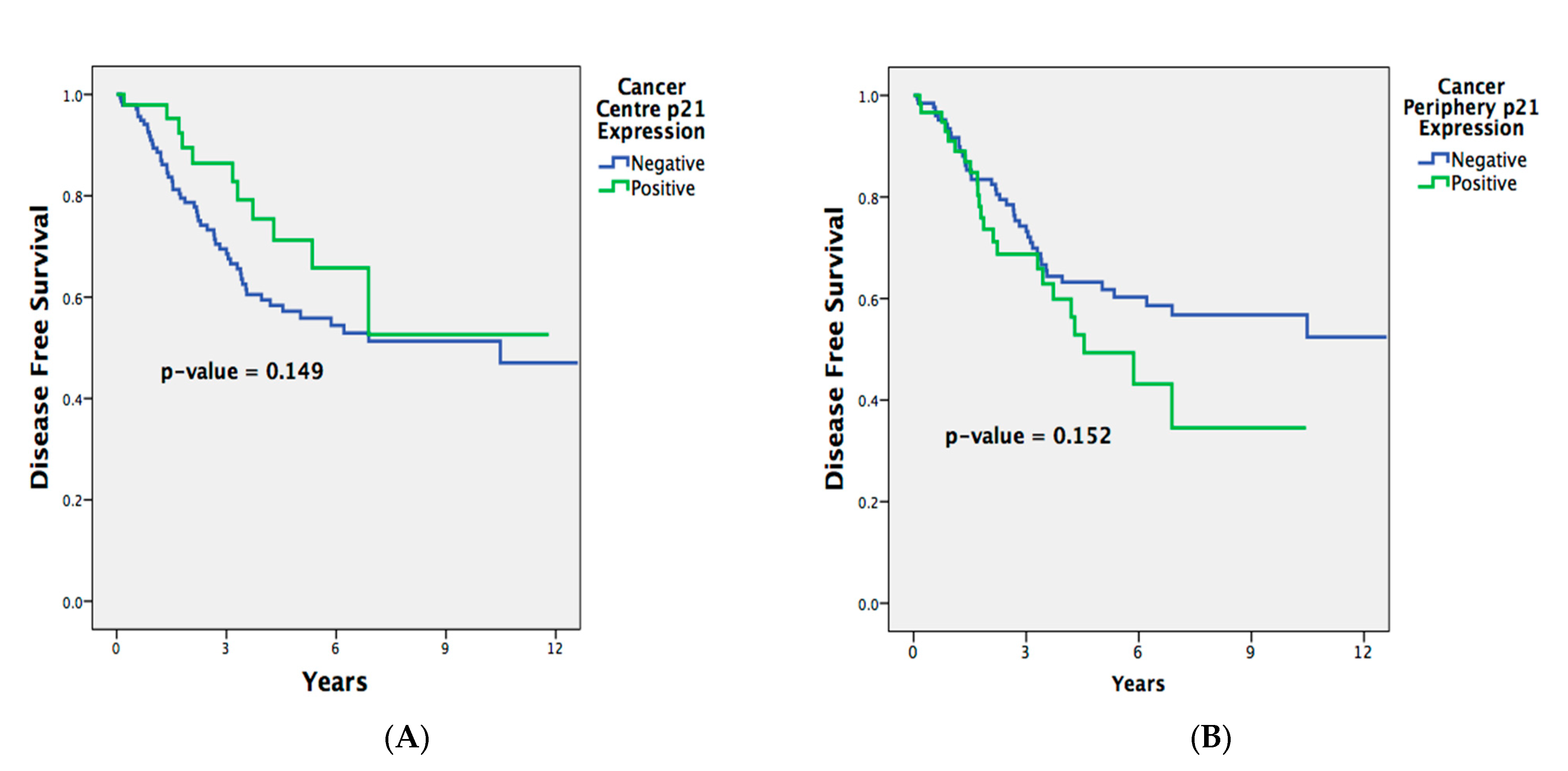 Ijms 25 00725 g002 Ijms 25 00725 g002