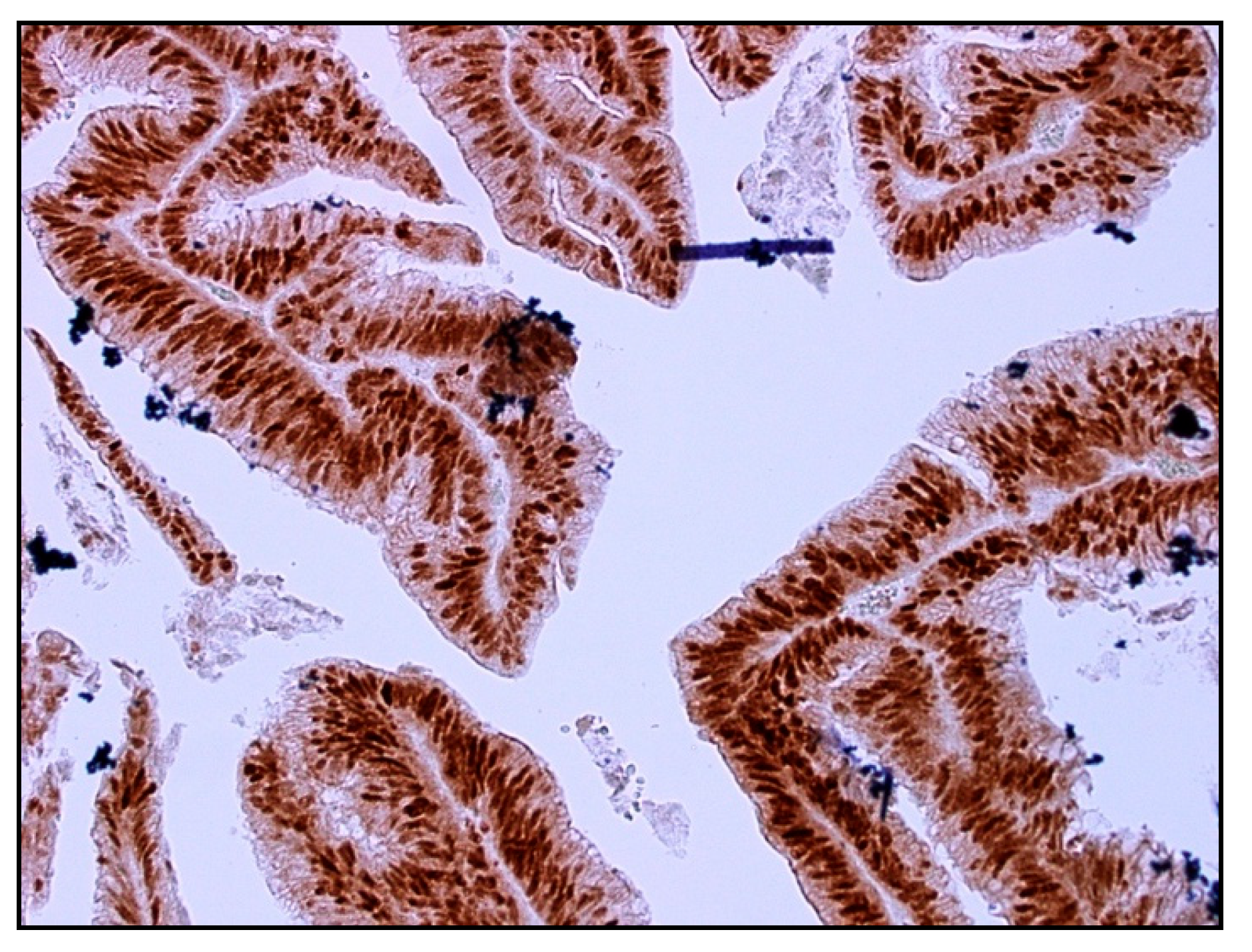 Ijms 25 00725 g003 Ijms 25 00725 g003