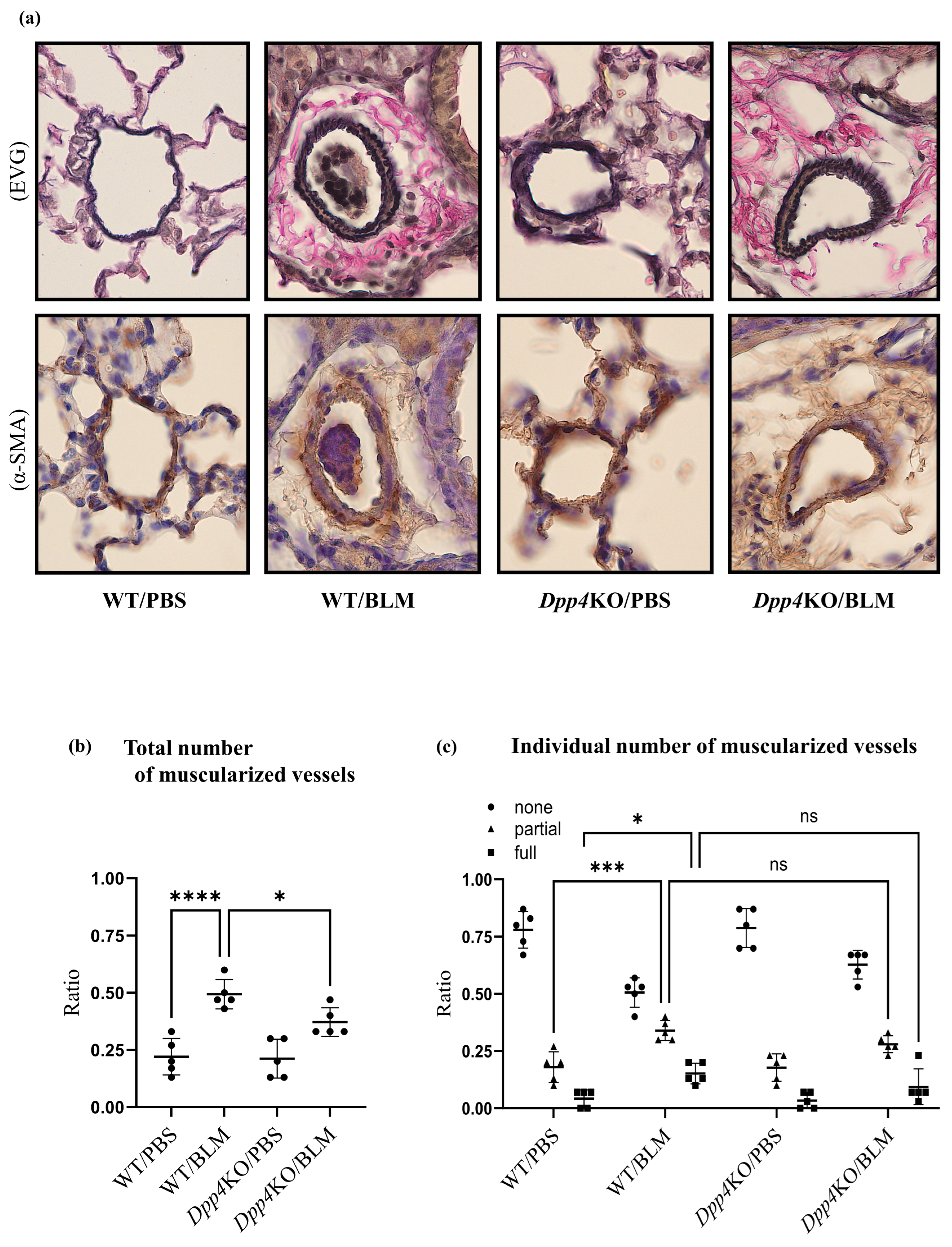 Ijms 25 00748 g002a Ijms 25 00748 g002a
