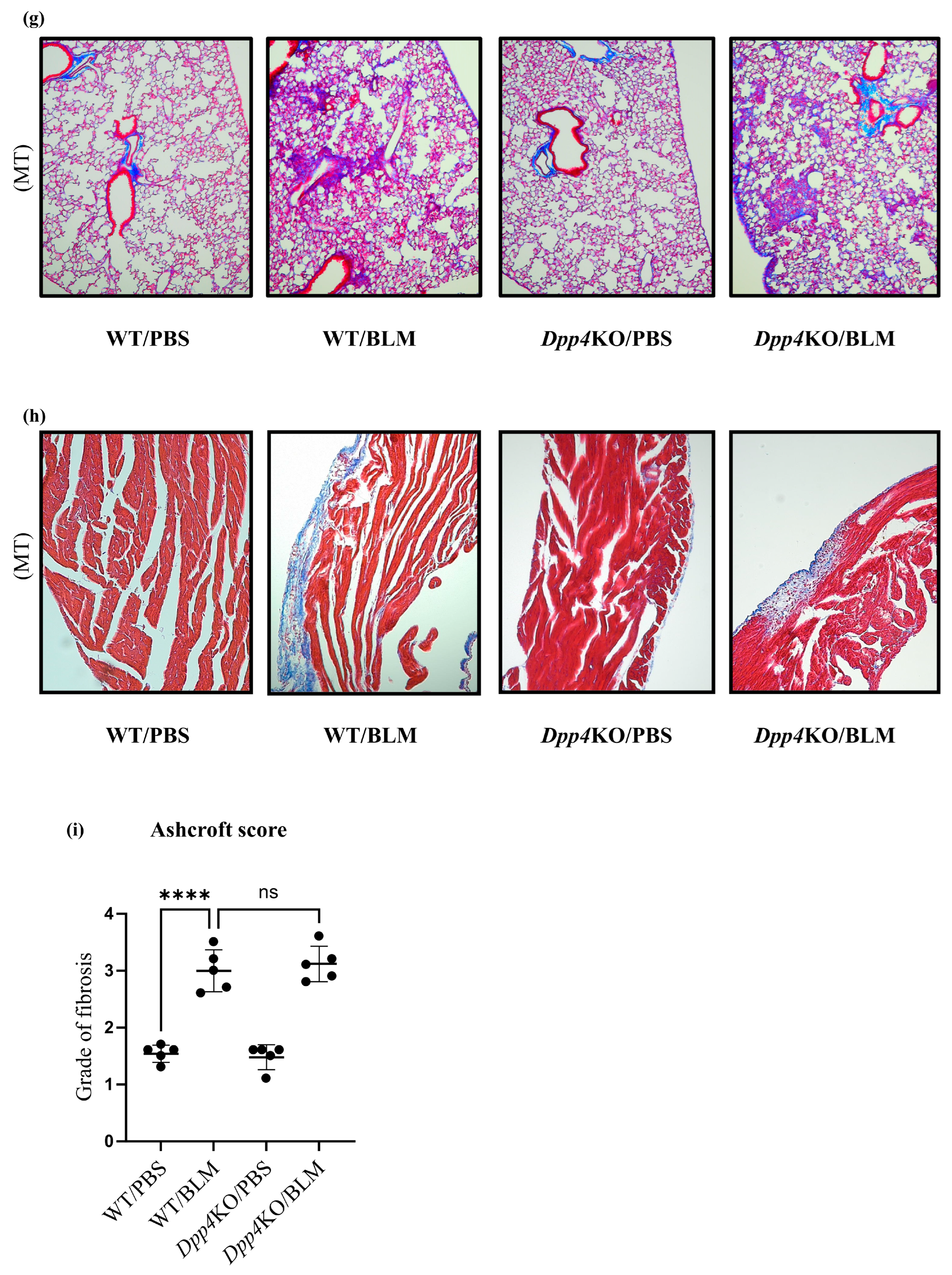 Ijms 25 00748 g002c Ijms 25 00748 g002c
