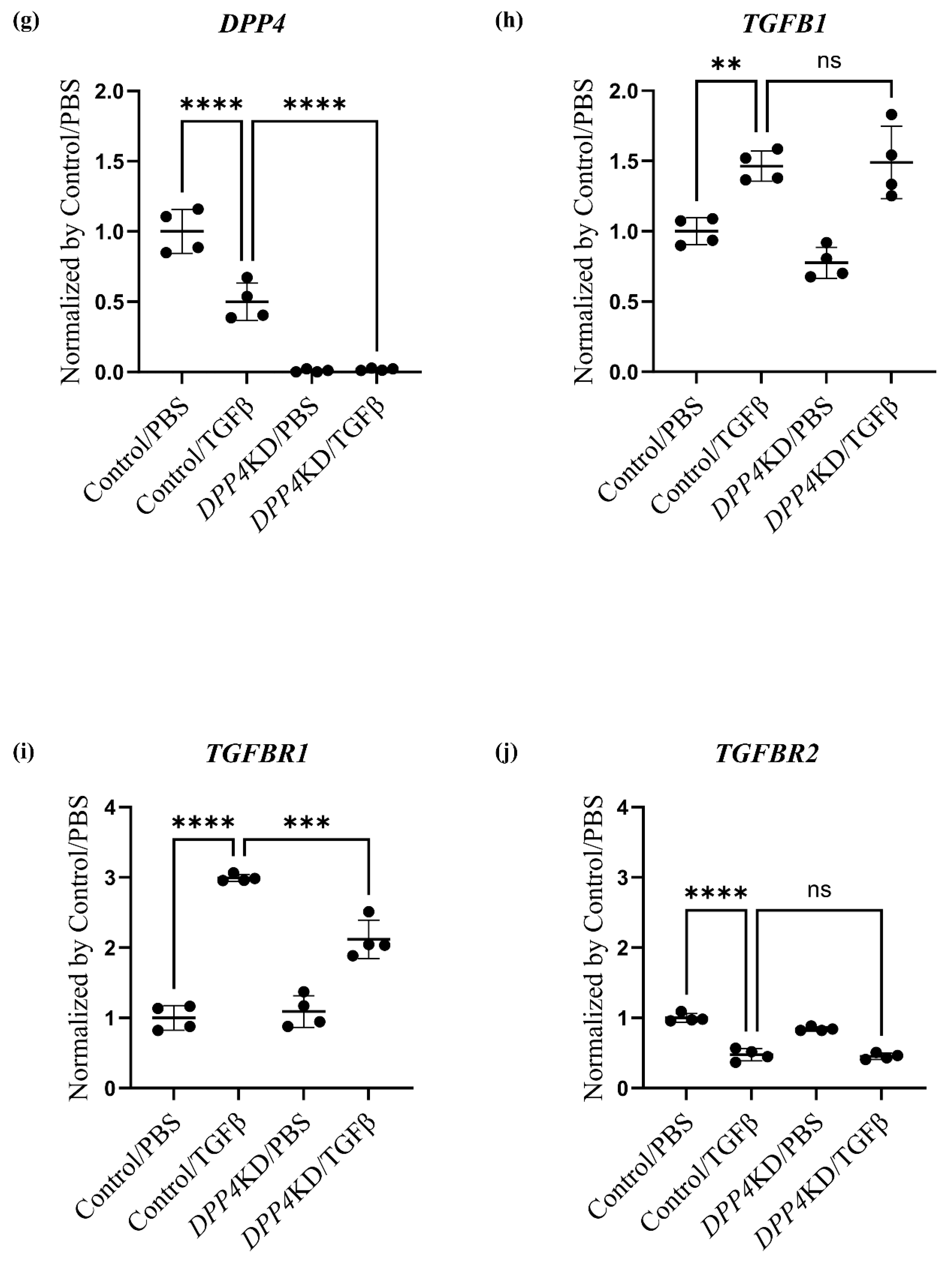 Ijms 25 00748 g004b Ijms 25 00748 g004b