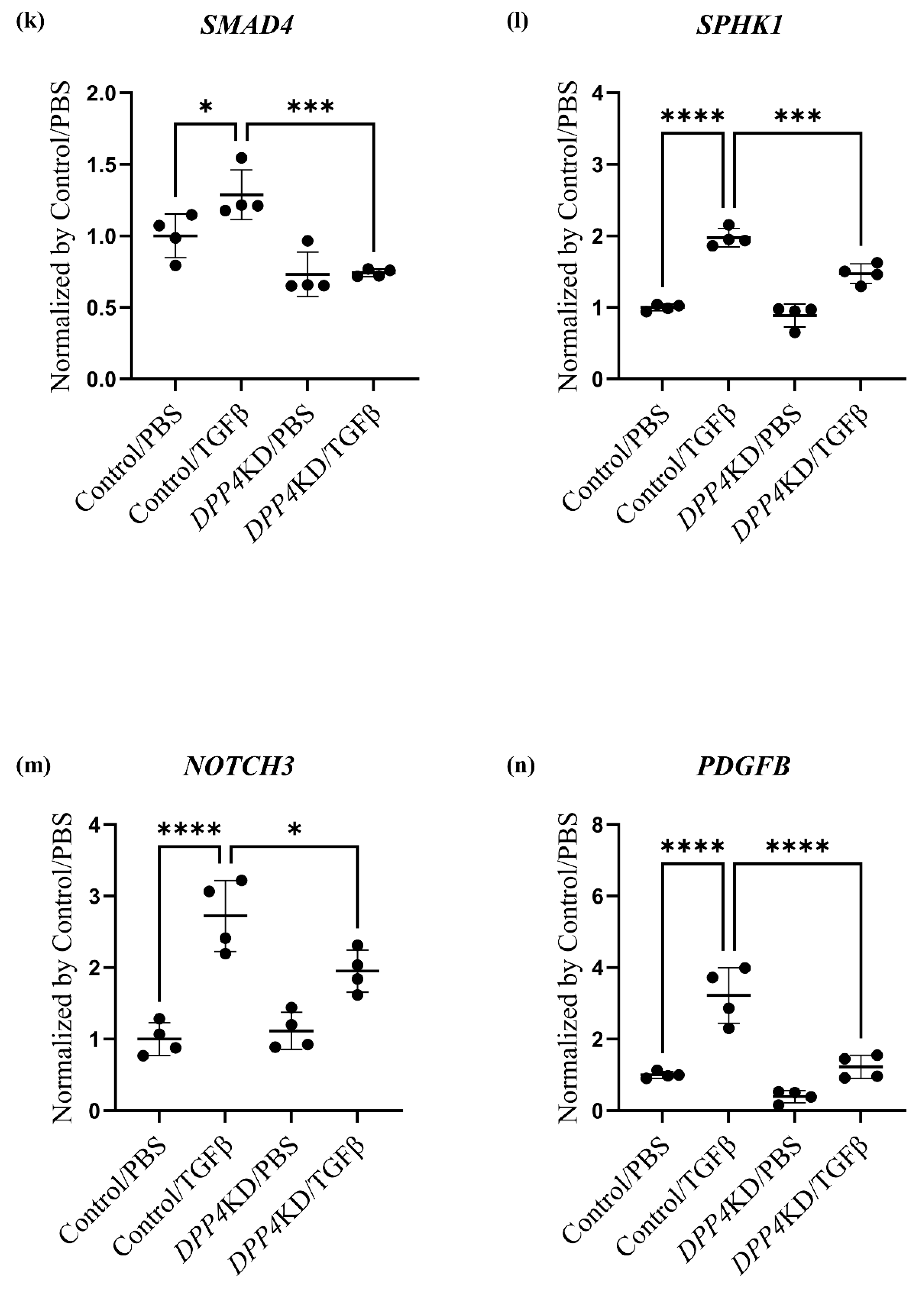 Ijms 25 00748 g004c Ijms 25 00748 g004c