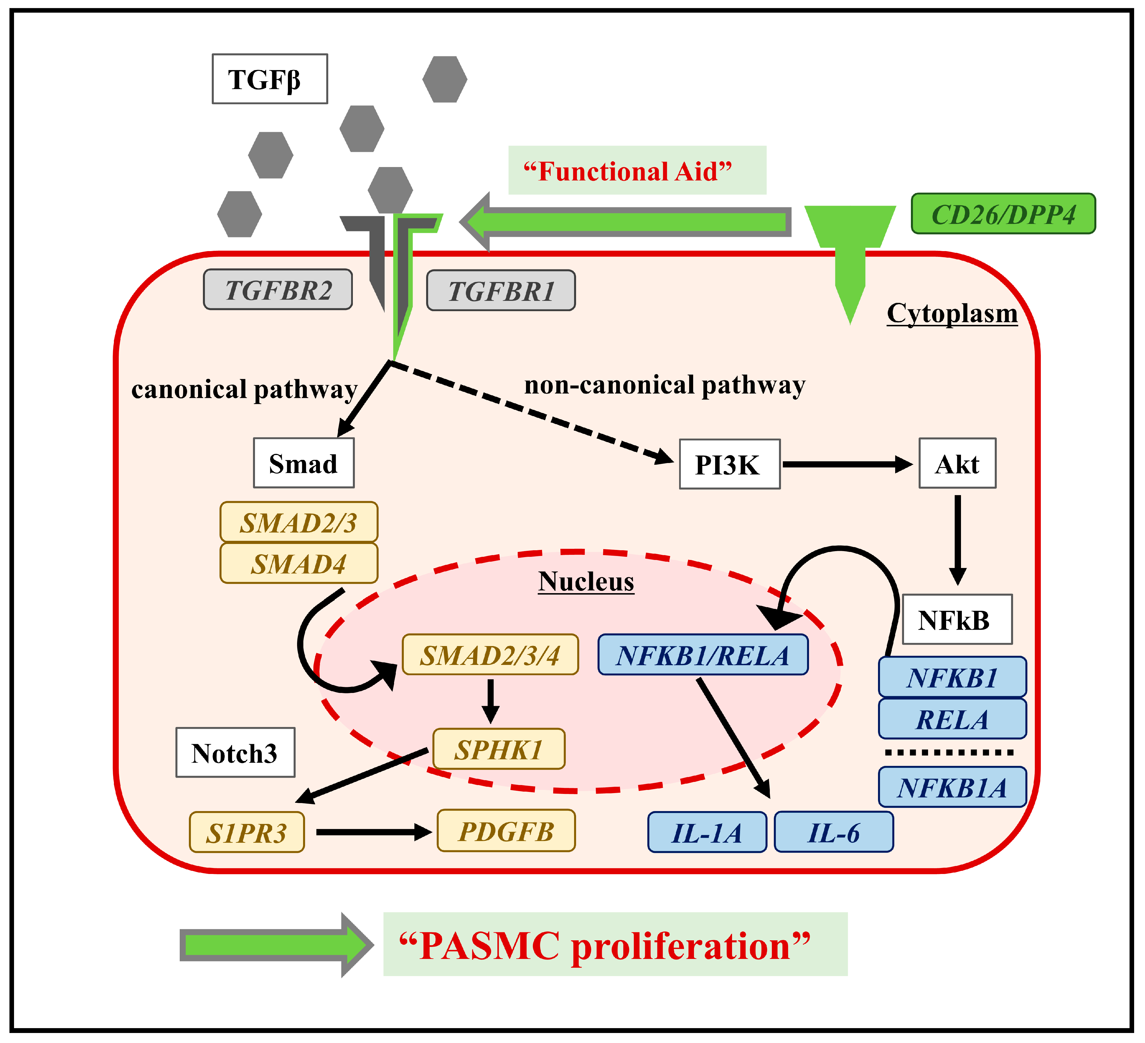 Ijms 25 00748 g005 Ijms 25 00748 g005