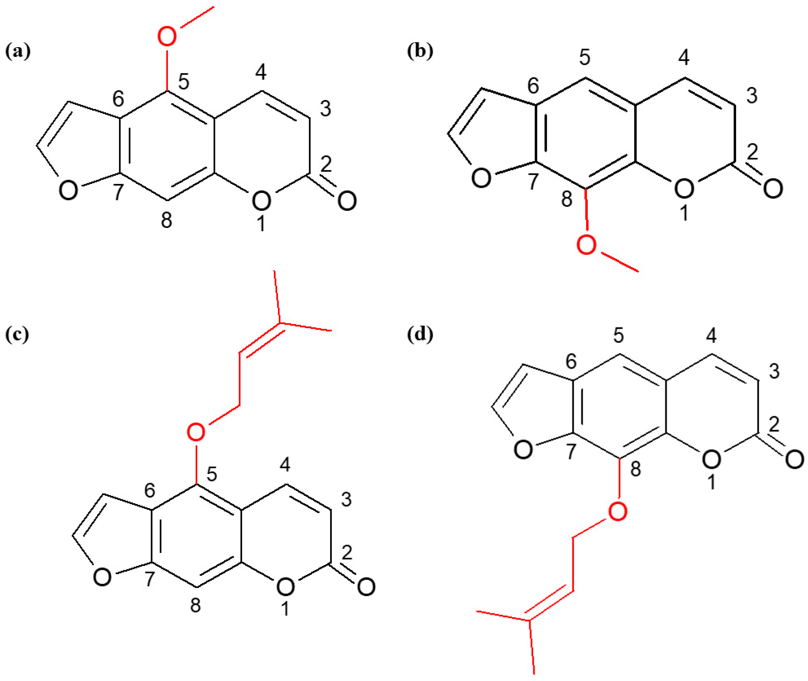 Ijms 25 00759 g001 Ijms 25 00759 g001