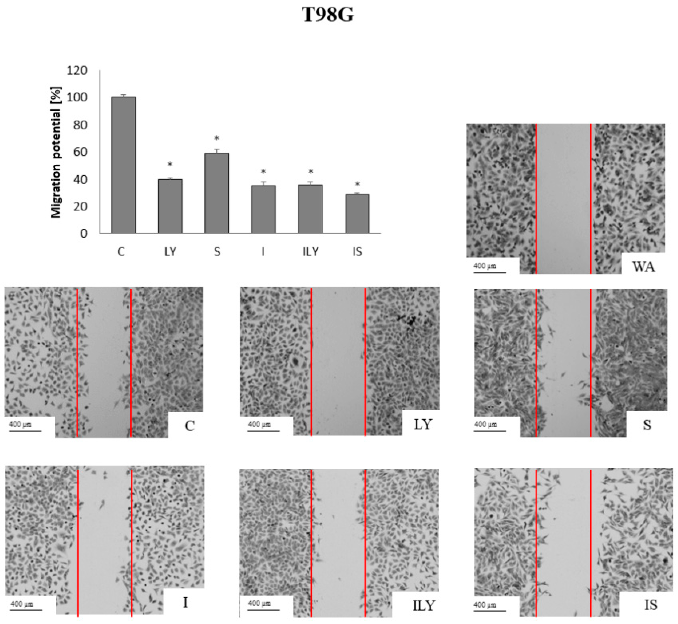 Ijms 25 00759 g010 Ijms 25 00759 g010
