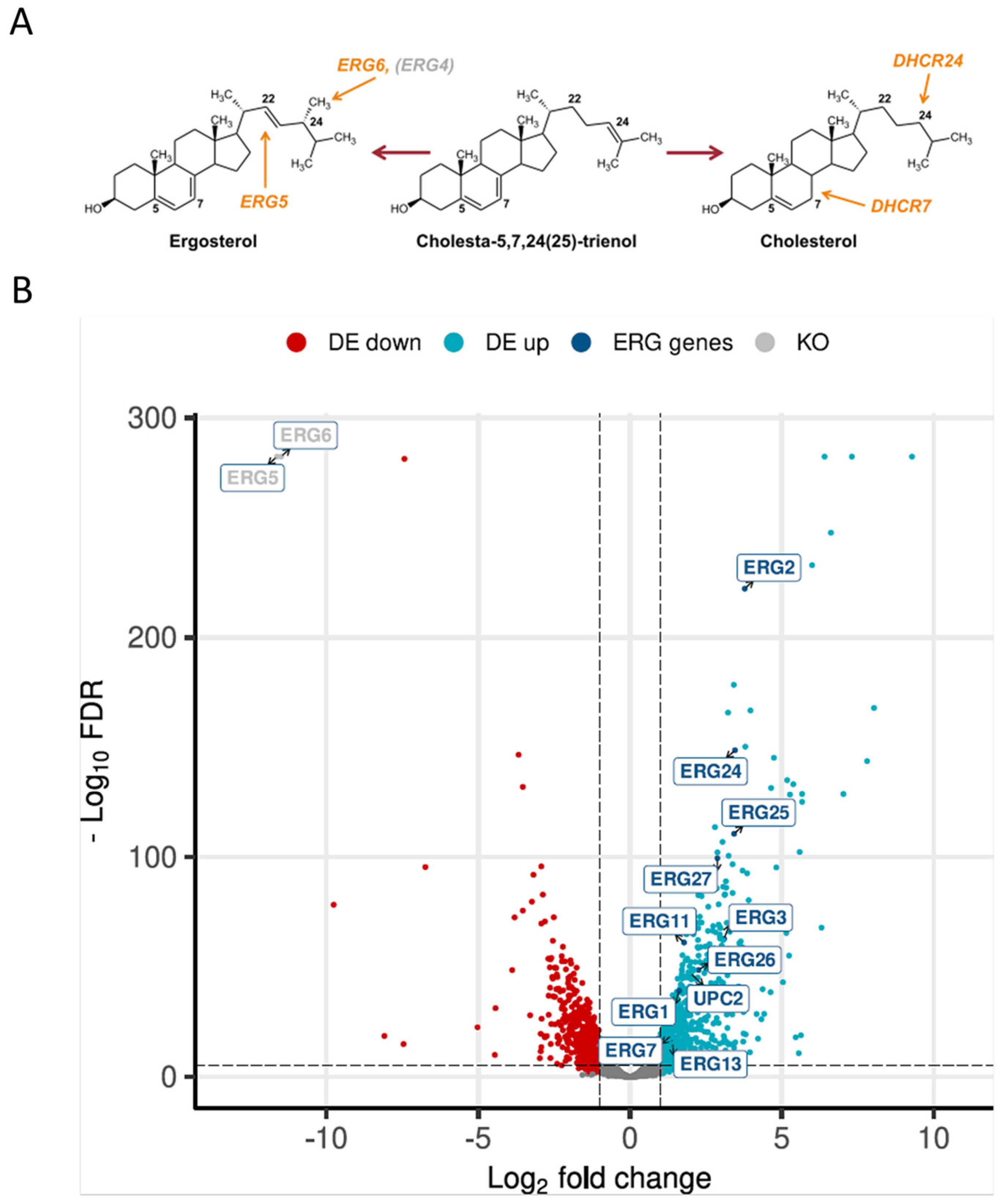 Ijms 25 00781 g001 Ijms 25 00781 g001