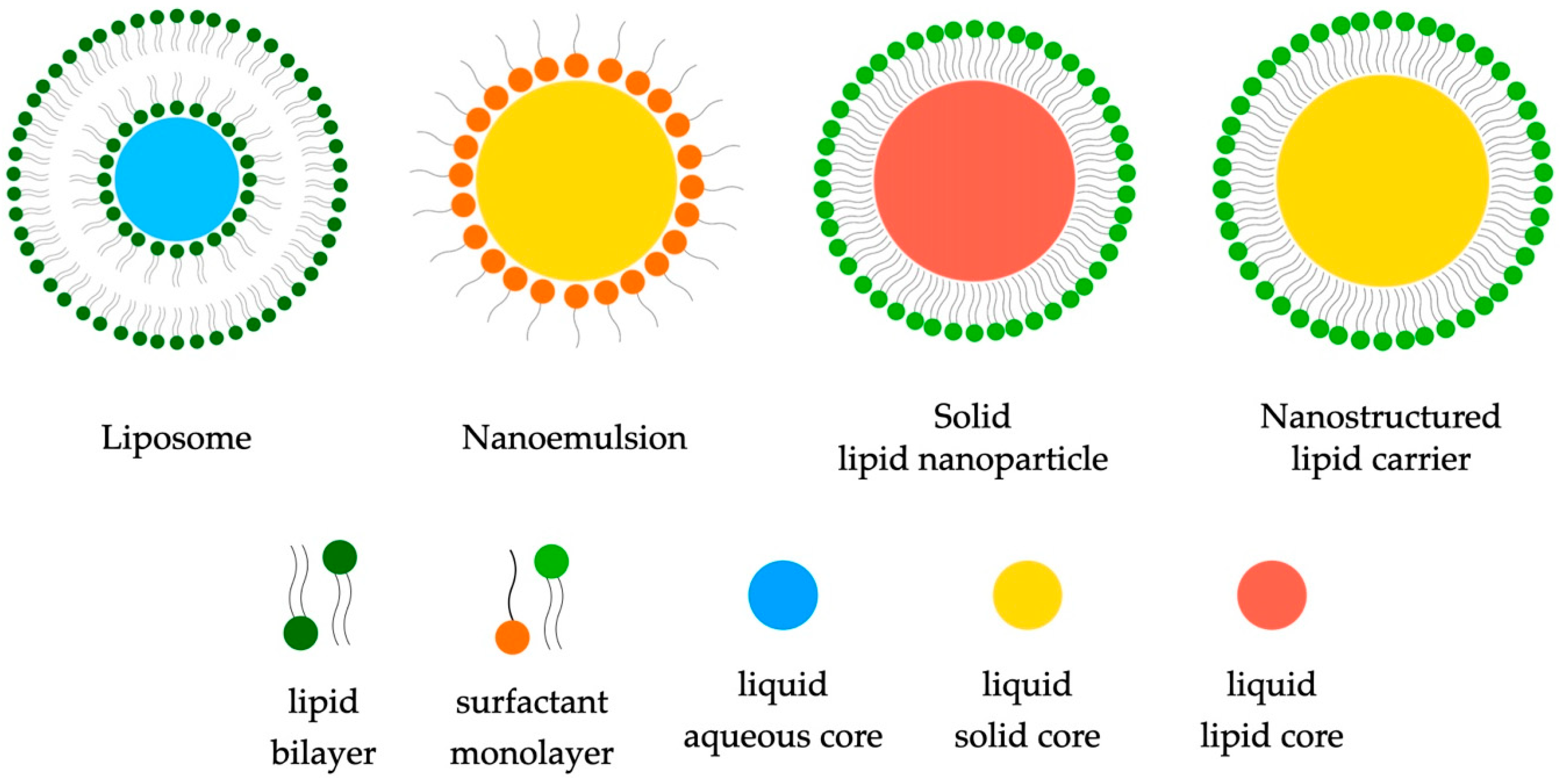 Ijms 25 00786 g002 Ijms 25 00786 g002