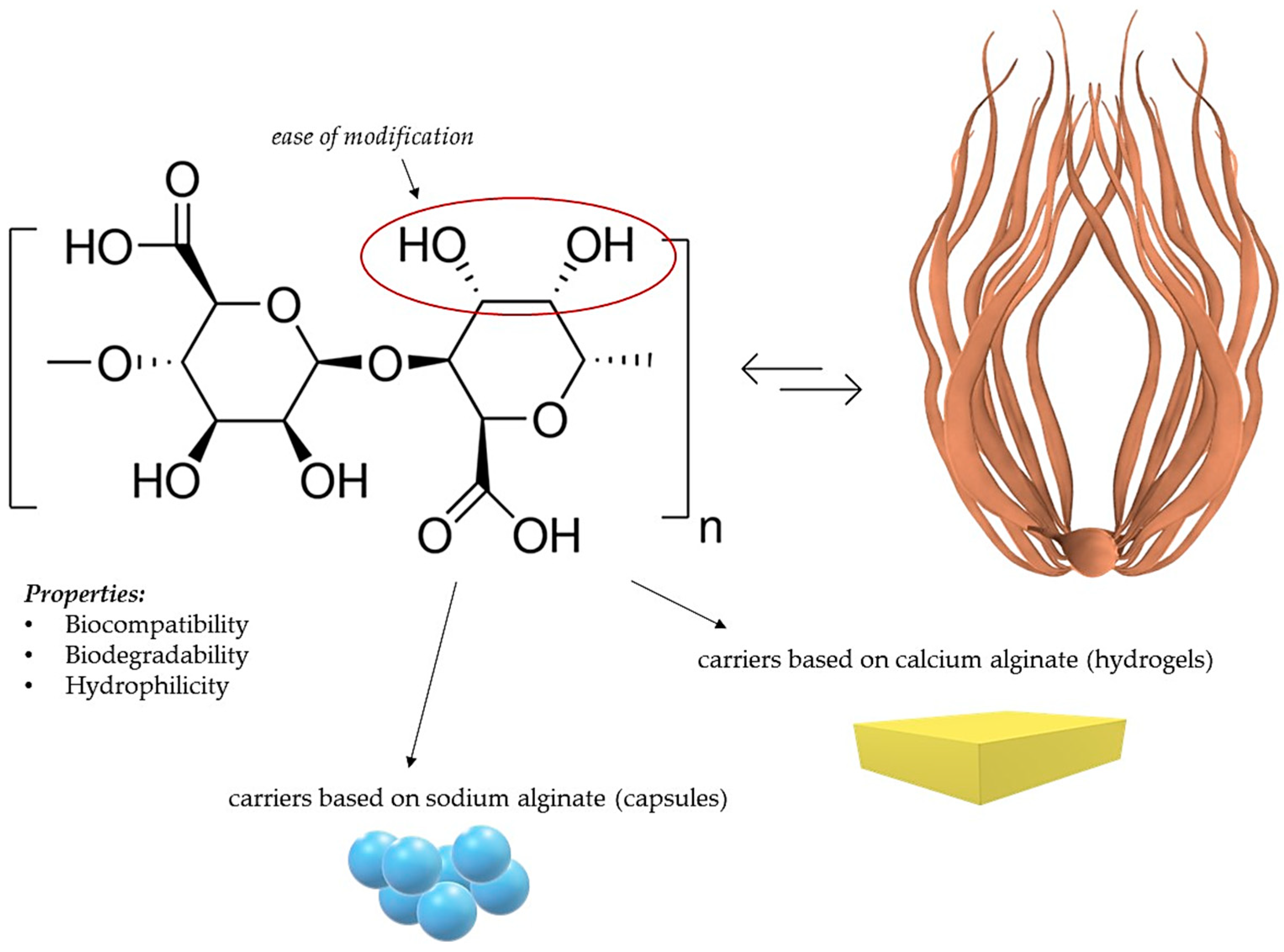 Ijms 25 00786 g006 Ijms 25 00786 g006
